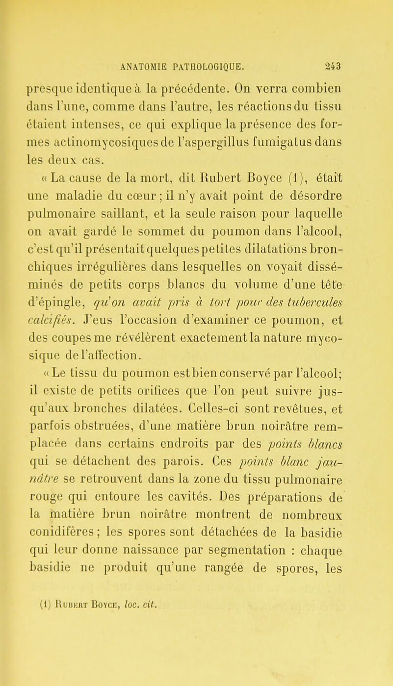presque identique à la précédente. On verra combien dans l'une, comme dans l'autre, les réactions du tissu étaient intenses, ce qui explique la présence des for- mes actinomycosiquesde l'aspergillus fumigatus dans les deux cas. « La cause de la mort, dit Hubert Boyce (1), était une maladie du cœur ; il n'y avait point de désordre pulmonaire saillant, et la seule raison pour laquelle on avait gardé le sommet du poumon dans l'alcool, c'est qu'il présentait quelques petites dilatations bron- chiques irrégulières clans lesquelles on voyait dissé- minés de petits corps blancs du volume d'une tête d'épingle, qu'on avait pris à tort pour des tubercules calcifiés. J'eus l'occasion d'examiner ce poumon, et des coupes me révélèrent exactement la nature myco- sique de l'affection. «Le tissu du poumon est bien conservé par l'alcool; il existe de petits orifices que l'on peut suivre jus- qu'aux bronches dilatées. Celles-ci sont revêtues, et parfois obstruées, d'une matière brun noirâtre rem- placée dans certains endroits par des points blancs qui se détachent des parois. Ces points blanc jau- nâtre se retrouvent dans la zone du tissu pulmonaire rouge qui entoure les cavités. Des préparations de la matière brun noirâtre montrent de nombreux conidifères ; les spores sont détachées de la basidie qui leur donne naissance par segmentation : chaque basidie ne produit qu'une rangée de spores, les (1) Rubkrt Boyce, loc. cit.
