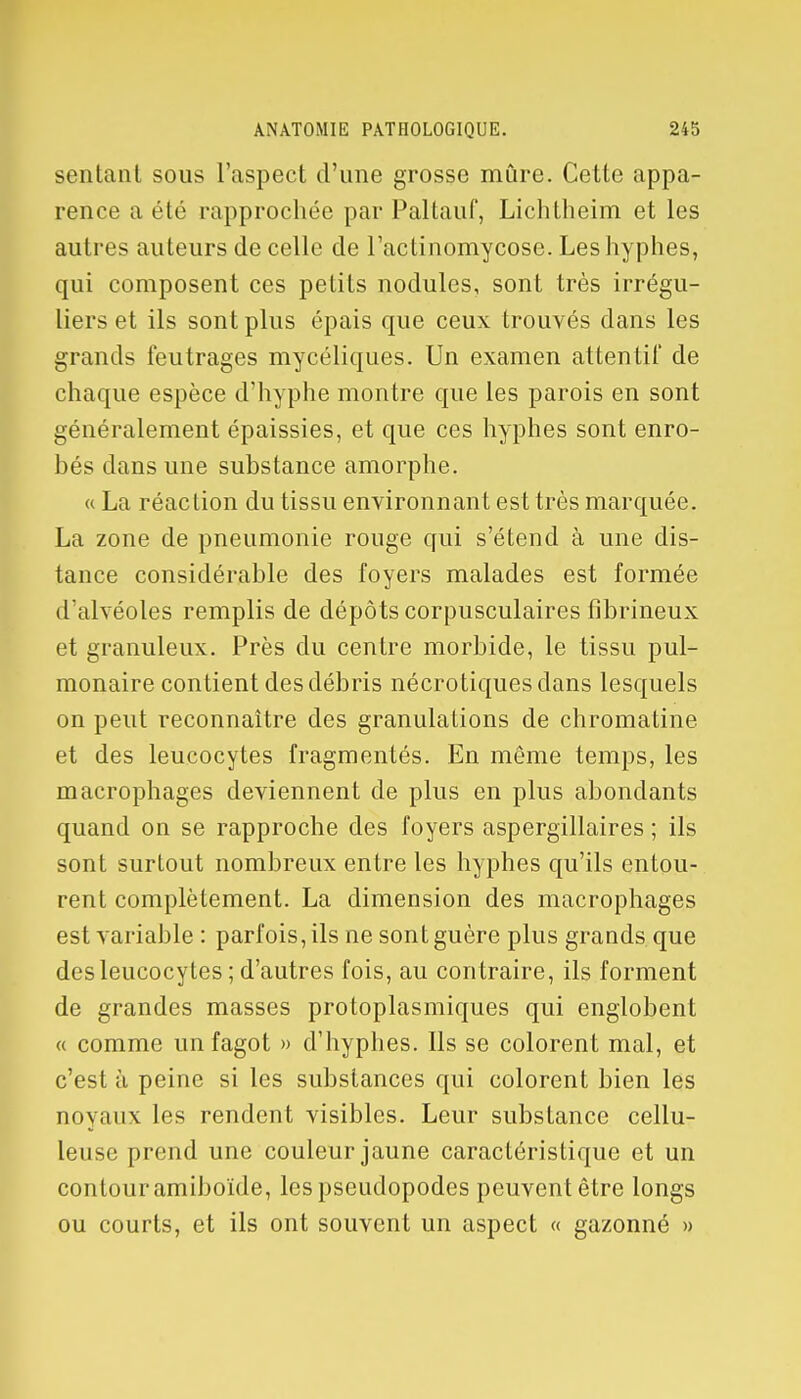 sentant sous l'aspect d'une grosse mûre. Cette appa- rence a été rapprochée par Paltauf, Lichtheim et les autres auteurs de celle de l'actinomycose. Leshyphes, qui composent ces petits nodules, sont très irrégu- liers et ils sont plus épais que ceux trouvés dans les grands feutrages mycéliques. Un examen attentif de chaque espèce d'hyphe montre que les parois en sont généralement épaissies, et que ces hyphes sont enro- bés dans une substance amorphe. « La réaction du tissu environnant est très marquée. La zone de pneumonie rouge qui s'étend à une dis- tance considérable des foyers malades est formée d'alvéoles remplis de dépôts corpusculaires fibrineux et granuleux. Près du centre morbide, le tissu pul- monaire contient des débris nécrotiques clans lesquels on peut reconnaître des granulations de chromatine et des leucocytes fragmentés. En môme temps, les macrophages deviennent de plus en plus abondants quand on se rapproche des foyers aspergillaires ; ils sont surtout nombreux entre les hyphes qu'ils entou- rent complètement. La dimension des macrophages est variable : parfois, ils ne sont guère plus grands que des leucocytes ; d'autres fois, au contraire, ils forment de grandes masses protoplasmiques qui englobent « comme un fagot » d'hyphes. Us se colorent mal, et c'est à peine si les substances qui colorent bien les noyaux les rendent visibles. Leur substance cellu- lense prend une couleur jaune caractéristique et un contour amiboïde, les pseudopodes peuvent être longs ou courts, et ils ont souvent un aspect « gazonné »