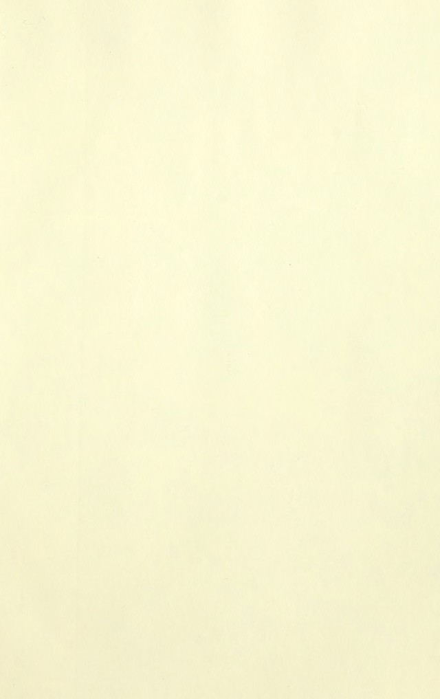 digitised image 3