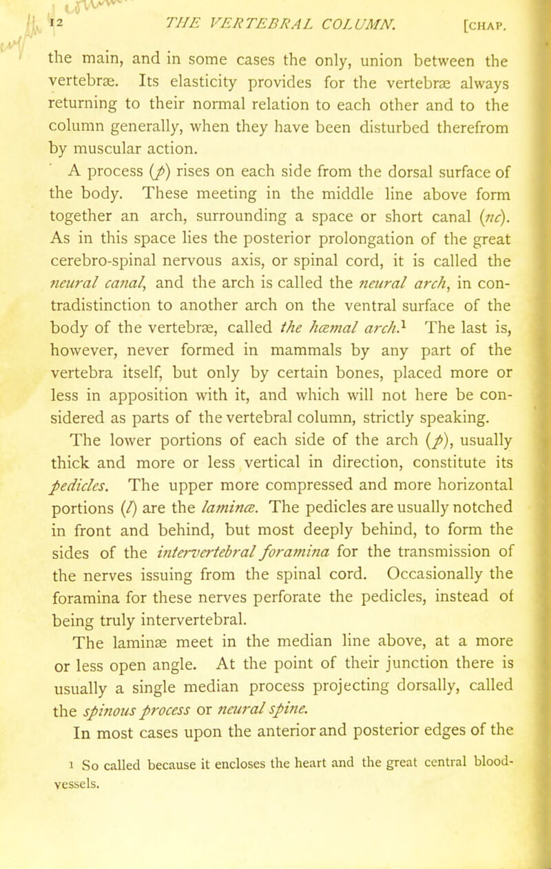 the main, and in some cases the only, union between the vertebrae. Its elasticity provides for the vertebrae always returning to their normal relation to each other and to the column generally, when they have been disturbed therefrom by muscular action. A process (/) rises on each side from the dorsal surface of the body. These meeting in the middle line above form together an arch, surrounding a space or short canal {itc). As in this space lies the posterior prolongation of the great cerebro-spinal nervous axis, or spinal cord, it is called the neural canal, and the arch is called the neural arch, in con- tradistinction to another arch on the ventral surface of the body of the vertebrae, called the hceinal arch?- The last is, however, never formed in mammals by any part of the vertebra itself, but only by certain bones, placed more or less in apposition with it, and which will not here be con- sidered as parts of the vertebral column, strictly speaking. The lower portions of each side of the arch (/), usually thick and more or less vertical in direction, constitute its pedicles. The upper more compressed and more horizontal portions (/) are the latnina. The pedicles are usually notched in front and behind, but most deeply behind, to form the sides of the iniemertebral foramina for the transmission of the nerves issuing from the spinal cord. Occasionally the foramina for these nerves perforate the pedicles, instead of being truly intervertebral. The laminae meet in the median line above, at a more or less open angle. At the point of their junction there is usually a single median process projecting dorsally, called the spinous process or neural spine. In most cases upon the anterior and posterior edges of the 1 So called because it encloses the heart and the great central blood- vessels.