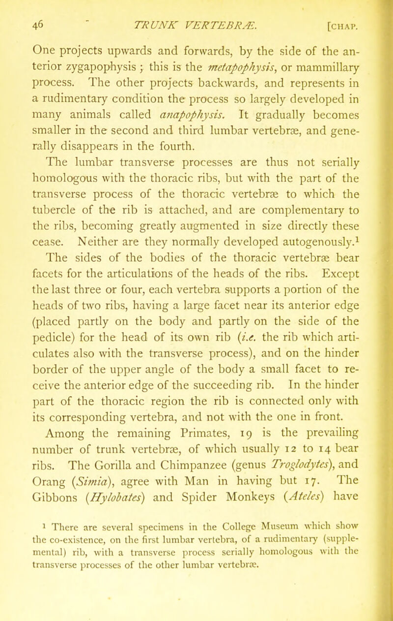 One projects upwards and forwards, by the side of the an- terior zygapophysis ; this is the metapophysis, or mammillary process. The other projects backwards, and represents in a rudimentary condition the process so largely developed in many animals called anapophysis. It gradually becomes smaller in the second and third lumbar vertebrse, and gene- rally disappears in the fourth. The lumbar transverse processes are thus not serially homologous with the thoracic ribs, but with the part of the transverse process of the thoracic vertebrae to which the tubercle of the rib is attached, and are complementary to the ribs, becoming greatly augmented in size directly these cease. Neither are they normally developed autogenously.^ The sides of the bodies of the thoracic vertebrse bear facets for the articulations of the heads of the ribs. Except the last three or four, each vertebra supports a portion of the heads of two ribs, having a large facet near its anterior edge (placed partly on the body and partly on the side of the pedicle) for the head of its own rib (i.e. the rib which arti- culates also with the transverse process), and on the hinder border of the upper angle of the body a small facet to re- ceive the anterior edge of the succeeding rib. In the hinder part of the thoracic region the rib is connected only with its corresponding vertebra, and not with the one in front. Among the remaining Primates, 19 is the prevailing number of trunk vertebrae, of which usually 12 to 14 bear ribs. The Gorilla and Chimpanzee (genus Troglodytes), and Orang iSimia), agree with Man in having but 17. The Gibbons {Hylobates) and Spider Monkeys {Ateles) have 1 There are several specimens in the College Museum which show the co-e.xistence, on the first lumbar vertebra, of a rudimentary (supple- mental) rib, with a transverse process serially homologous with the transverse processes of the other lumbar vertebrae.
