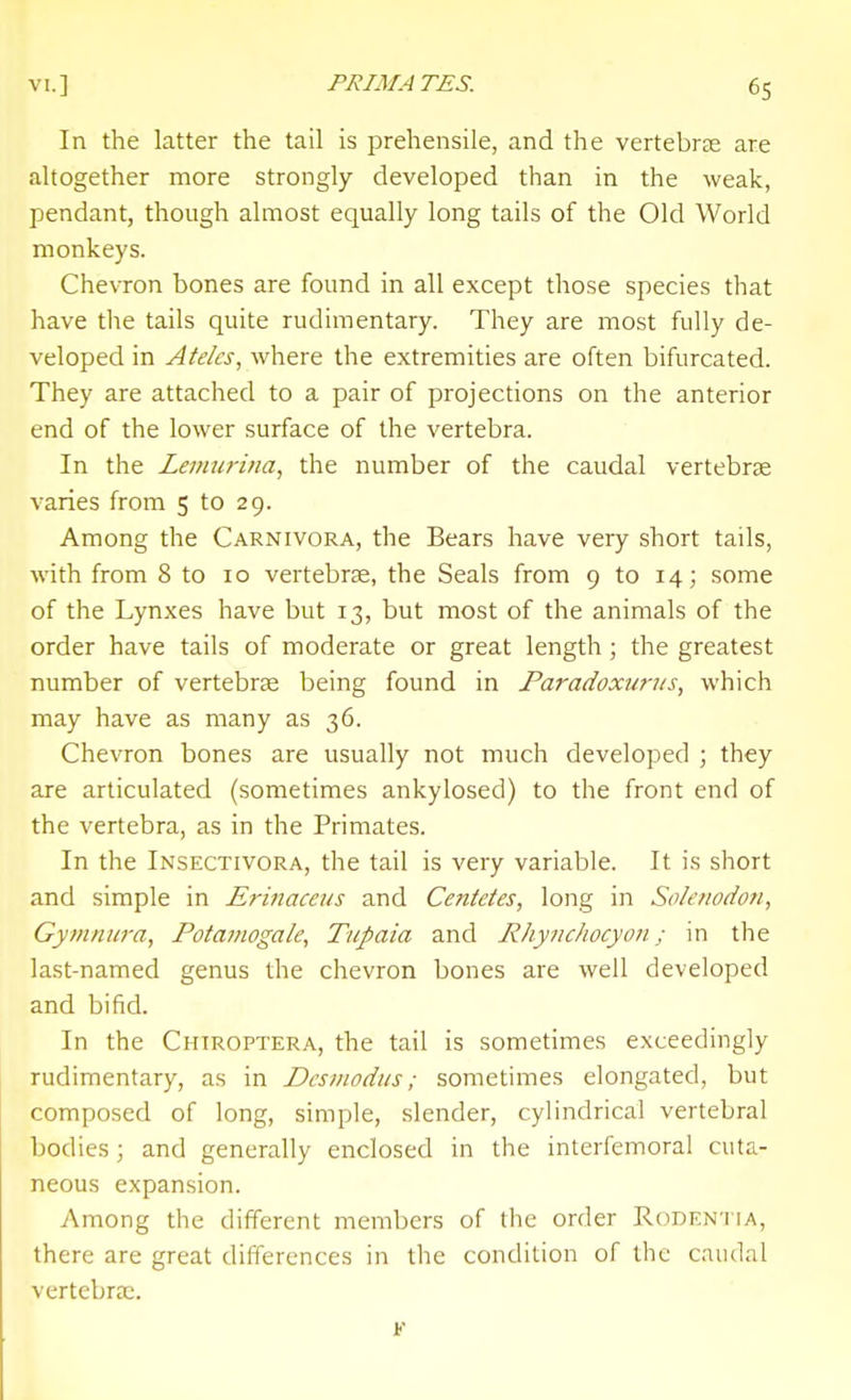 In the latter the tail is prehensile, and the vertebrae are altogether more strongly developed than in the weak, pendant, though almost equally long tails of the Old World monkeys. Chevron bones are found in all except those species that have tlie tails quite rudimentary. They are most fully de- veloped in Ateks, where the extremities are often bifurcated. They are attached to a pair of projections on the anterior end of the lower surface of the vertebra. In the Lemurina, the number of the caudal vertebrae varies from 5 to 29. Among the Carnivora, the Bears have very short tails, with from 8 to 10 vertebrae, the Seals from 9 to 14; some of the Lynxes have but 13, but most of the animals of the order have tails of moderate or great length ; the greatest number of vertebrae being found in Paradoxuri/s, which may have as many as 36. Chevron bones are usually not much developed ; they are articulated (sometimes ankylosed) to the front end of the vertebra, as in the Primates. In the In-Sectivora, the tail is very variable. It is short and simple in Erinacci/s and Centetes, long in Solenodon, Gymniii'a, Potatnogale, Tupaia and Rhynchocyon; in the last-named genus the chevron bones are well developed and bifid. In the Chiroptera, the tail is sometimes exceedingly rudimentary, as in Desmodus; sometimes elongated, but composed of long, simple, slender, cylindrical vertebral bodies; and generally enclosed in the interfemoral cuta- neous expansion. Among the different members of the order Rodentia, there are great differences in the condition of the caudal vertebra;.