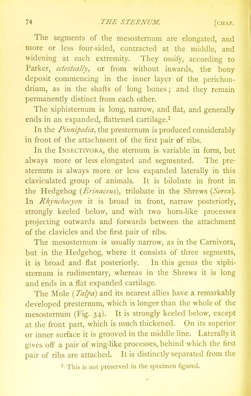 The segments of the mesosternum are elongated, and more or less four-sided, contracted at the middle, and widening at each extremity. They ossify, according to Parker, edosteally, or from without inwards, the bony deposit commencing in the inner layer of the perichon- drium, as in the shafts of long bones; and they remain permanently distinct from each other. The xiphisternum is long, narrow, and flat, and generally ends in an expanded, flattened cartilage.^ In the Phmipedia. the presternum is produced considerably in front of the attachment of the first pair of ribs. In the Insectivora, the sternum is variable in form, but always more or less elongated and segmented. The pre- sternum is always more or less expanded laterally in this claviculated group of animals. It is bilobate in front in the Hedgehog {Erinaceus), trilobate in the Shrews {Sorex). In Rhynchocyon it is broad in front, narrow posteriorly, strongly keeled below, and with two horn-like processes projecting outwards and forwards between the attachment of the clavicles and the first pair of ribs. The mesosternum is usually narrow, as in the Carnivora, but in the Hedgehog, where it consists of three segments, it is broad and flat posteriorly. In this genus the xiphi- sternum is rudimentary, whereas in the Shrews it is long and ends in a flat expanded cartilage. The Mole {Talpa) and its nearest allies have a remarkably developed presternum, which is longer than the whole of the mesosternum (Fig. 34). It is strongly keeled below, except at the front part, which is much thickened. On its superior or inner surface it is grooved in the middle line. Laterally it gives off a pair of wing-like processes, behind which the first pair of ribs are attached. It is distinctly separated from the ^ This is not preserved in the specimen figured.