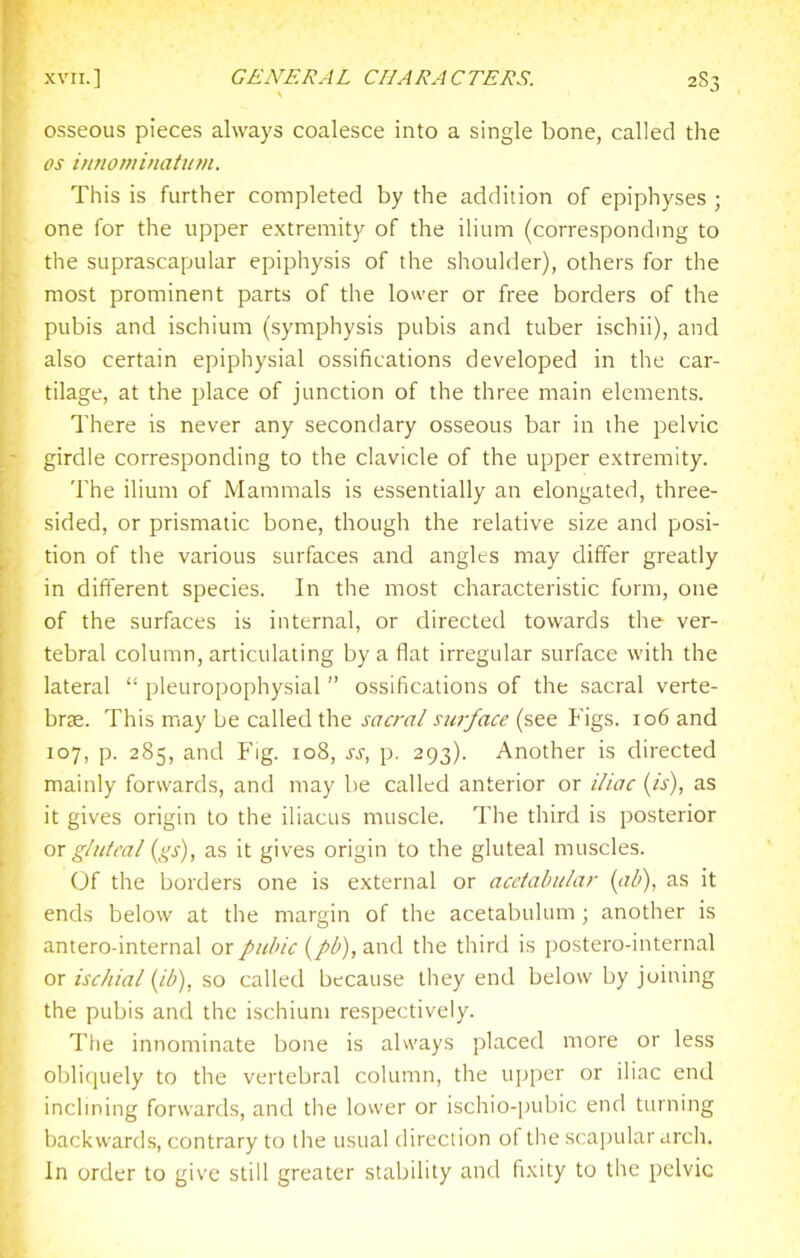 XVII.] GENERAL CHARACTERS. 2S3 osseous pieces always coalesce into a single bone, called the OS i/irio/ni/iatiim. This is further completed by the addition of epiphyses ; one for the upper extremity of the ilium (correspondmg to the suprascapular epiphysis of the shoulder), others for the most prominent parts of the lower or free borders of the pubis and ischium (symphysis pubis and tuber ischii), and also certain epiphysial ossifications developed in the car- tilage, at the place of junction of the three main elements. There is never any secondary osseous bar in the pelvic girdle corresponding to the clavicle of the upper extremity. The ilium of Mammals is essentially an elongated, three- sided, or prismatic bone, though the relative size and posi- tion of the various surfaces and angles may differ greatly in different species. In the most characteristic form, one of the surfaces is internal, or directed towards the ver- tebral column, articulating by a flat irregular surface with the lateral  pleuropophysial  ossifications of the sacral verte- br£E. This may be called the sacral surface (see Figs. 106 and 107, p. 285, and Fig. 108, ss, p. 293). Another is directed mainly forwards, and may be called anterior or iliac {is), as it gives origin to the iliacus muscle. The third is posterior or glHtml {gs), as it gives origin to the gluteal muscles. Of the borders one is external or acetabular [ab), as it ends below at the margin of the acetabulum ; another is antero-internal or pubic {pb), and the third is postero-internal or ischial {ib), so called because they end below by joining the pubis and the ischium respectively. The innominate bone is always placed more or less obliquely to the vertebral column, the upper or ihac end inclining forwards, and the lower or ischio-pubic end turning backwards, contrary to the usual direciion of the scapular arch. In order to give still greater stability and fi.\ity to the pelvic