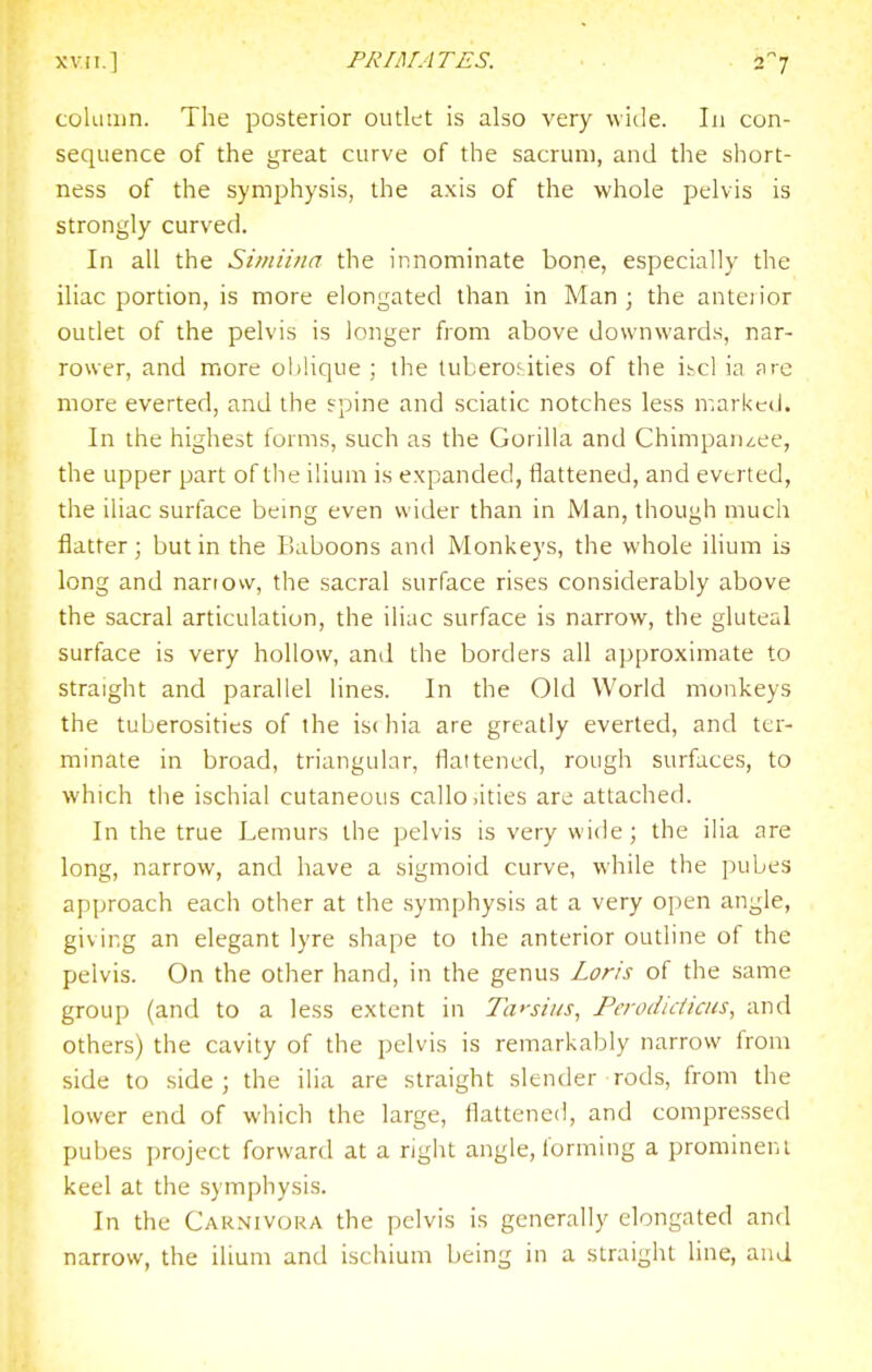 coliiiiin. The posterior outlet is also very wide. In con- sequence of the great curve of the sacrum, and the short- ness of the symphysis, the axis of the whole pelvis is strongly curved. In all the Siiniina the innominate bone, especially the iliac portion, is more elongated than in Man; the anteiior outlet of the pelvis is longer from above downwards, nar- rower, and more ol)!ique ; the tuberosities of the itcl ia are more everted, and the spine and sciatic notches less marked. In the highest forms, such as the Gorilla and Chimpai)/,ee, the upper part of the ilium is expanded, flattened, and everted, the iliac surface bemg even wider than in Man, though much flatter; but in the Baboons and Monkeys, the whole ilium is long and narrow, the sacral surface rises considerably above the sacral articulation, the iliac surface is narrow, the gluteal surface is very hollow, and the borders all approximate to straight and parallel lines. In the Old World monkeys the tuberosities of the is< hia are greatly everted, and ter- minate in broad, triangular, flattened, rough surfaces, to which the ischial cutaneous callo.ities are attached. In the true Lemurs the pelvis is very wide; the ilia are long, narrow, and have a sigmoid curve, while the pubes approach each other at the symphysis at a very open angle, giving an elegant lyre shape to the anterior outline of the pelvis. On the other hand, in the genus Loris of the same group (and to a less extent in Ta'siz/s, Pcrodidiciis, and others) the cavity of the pelvis is remarkably narrow from side to side; the ilia are straight slender rods, from the lower end of which the large, flattened, and compressed pubes project forward at a right angle, forming a prominent keel at the symphysis. In the Carnivora the pelvis is generally elongated and narrow, the ilium and ischium being in a straight line, and