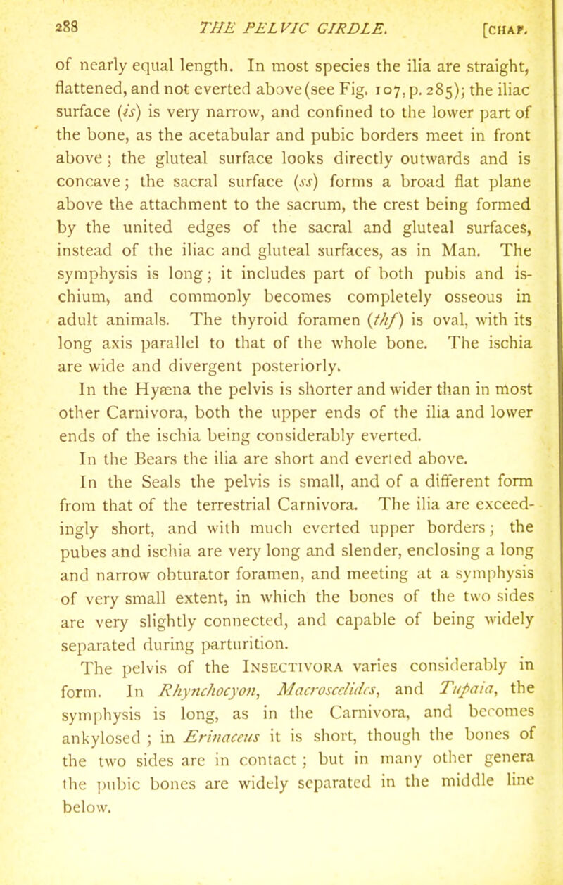 of nearly equal length. In most species the ilia are straight, flattened, and not everted above (see Fig. 107, p. 285); the iliac surface (is) is very narrow, and confined to the lower part of the bone, as the acetabular and pubic borders meet in front above 5 the gluteal surface looks directly outwards and is concave; the sacral surface (ss) forms a broad flat plane above the attachment to the sacrum, the crest being formed by the united edges of the sacral and gluteal surfaces, instead of the iliac and gluteal surfaces, as in Man. The symphysis is long; it includes part of both pubis and is- chium, and commonly becomes completely osseous in adult animals. The thyroid foramen {thf) is oval, with its long axis parallel to that of the whole bone. The ischia are wide and divergent posteriorly. In the Hyeena the pelvis is shorter and wider than in most other Carnivora, both the upper ends of the ilia and lower ends of the ischia being considerably everted. In the Bears the ilia are short and evened above. In the Seals the pelvis is small, and of a different form from that of the terrestrial Carnivora. The ilia are exceed- ingly short, and with much everted upper borders; the pubes and ischia are very long and slender, enclosing a long and narrow obturator foramen, and meeting at a symphysis of very small extent, in which the bones of the two sides are very slightly connected, and capable of being widely separated during parturition. The pelvis of the Insectivora varies considerably in form. In Rhynchocyon, Macroscclidcs, and Tiipaia, the symphysis is long, as in the Carnivora, and becomes ankylosed ; in Erinaceus it is short, though the bones of the two sides are in contact ; but in many other genera the pubic bones are widely separated in the middle line below.