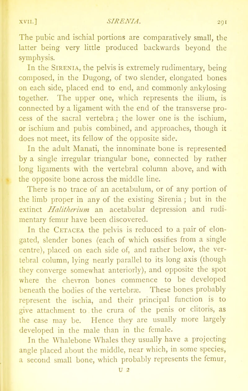 The pubic and ischial portions are comparatively small, the latter being very little produced backwards beyond the symphysis. In the SiRENiA, the pelvis is extremely rudimentary, being composed, in the Dugong, of two slender, elongated bones on each side, placed end to end, and commonly ankylosing together. The upper one, which represents the ilium, is connected by a ligament with the end of the transverse pro- cess of the sacral vertebra; the lower one is the ischium, or ischium and pubis combined, and approaches, though it does not meet, its fellow of the opposite side. In the adult Manati, the innominate bone is represented by a single irregular triangular bone, connected by rather long ligaments with the vertebral column above, and with the opposite bone across the middle line. There is no trace of an acetabulum, or of any portion of the limb proper in any of the existing Sirenia ; but in the extinct Halitheriim an acetabular depression and rudi- mentary femur have been discovered. In the Cetacea the pelvis is reduced to a pair of elon- gated, slender bones (each of which ossifies from a single centre), placed on each side of, and rather below, the ver- tebral column, lying nearly parallel to its long axis (though they converge somewhat anteriorly), and opposite the spot where the chevron bones commence to be developed beneath the bodies of the vertebrae. These bones probably represent the ischia, and their principal function is to give attachment to the crura of the penis or clitoris, as the case may be. Hence they are usually more largely developed in the male than in the female. In the Whalebone Whales they usually have a projecting angle placed about the middle, near which, in some species, a second small bone, which probably represents the femur, u 2