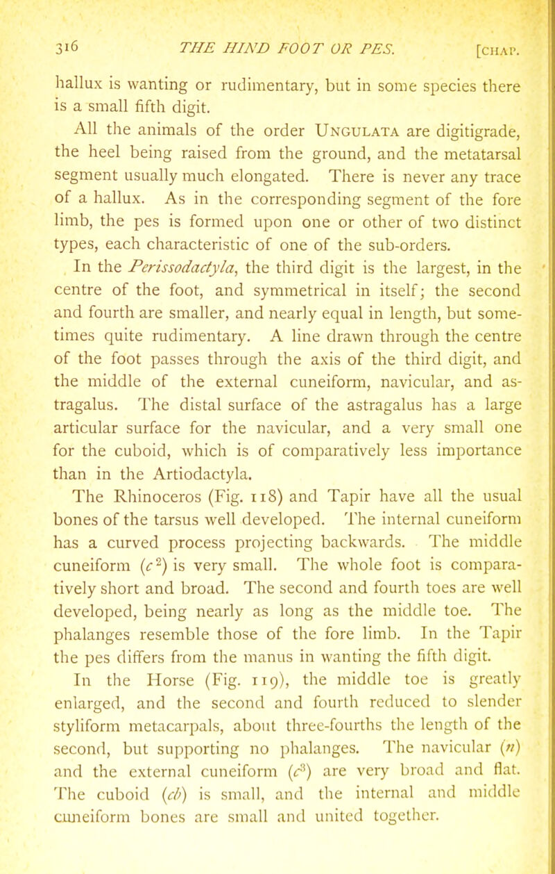 hallux is wanting or rudimentary, but in some species there is a small fifth digit. All the animals of the order Ungulata are digitigrade, the heel being raised from the ground, and the metatarsal segment usually much elongated. There is never any trace of a hallux. As in the corresponding segment of the fore limb, the pes is formed upon one or other of two distinct types, each characteristic of one of the sub-orders. In the Perissodactyla, the third digit is the largest, in the centre of the foot, and symmetrical in itself; the second and fourth are smaller, and nearly equal in length, but some- times quite rudimentary. A line drawn through the centre of the foot passes through the axis of the third digit, and the middle of the external cuneiform, navicular, and as- tragalus. The distal surface of the astragalus has a large articular surface for the navicular, and a very small one for the cuboid, which is of comparatively less imjDortance than in the Artiodactyla. The Rhinoceros (Fig. ii8) and Tapir have all the usual bones of the tarsus well developed. The internal cuneiform has a curved process projecting backwards. The middle cuneiform (<r^) is very small. The whole foot is compara- tively short and broad. The second and fourth toes are well developed, being nearly as long as the middle toe. The phalanges resemble those of the fore limb. In the Tapir the pes differs from the manus in wanting the fifth digit. In the Horse (Fig. 119), the middle toe is greatly enlarged, and the second and fourth reduced to slender styliform metacarpals, about three-fourths the length of the second, but supporting no phalanges. The navicular (;/) and the external cuneiform (f) are very broad and flat. The cuboid {ch) is small, and the internal and middle cuneiform bones are small and united together.