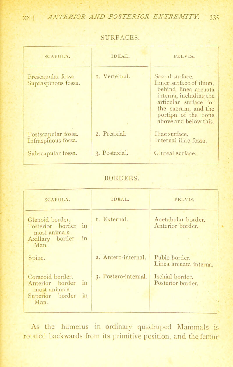 SURFACES. SCAPULA. IDEAL. PELVIS. Prescapiilar fossa. Supraspinous fossa. Postscapular fossa. Infraspinous fossa. Subscapular fossa. 1. Vertebral. 2. Preaxial. 3. Postaxial. Sacral surface. Inner surface of ilium, behind linea arcuata interna, including the articular surface for the sacrum, and the portion of the bone above and below this. Iliac surface. Internal iliac fossa. Gluteal surface. BORDERS. SCAPULA. IDEAL. PELVIS. Glenoid border. Posteiior border in most animals. Axillai7 border in Man. Spine. Coracoid border. Anterior border in most animals. Superior border in ilan. 1. External. 2. Antero-internal. 3. Postero-intemal. Acetabular border. Anterior border. Pubic border. Linea arcuata interna. Ischial border. Posterior border. As the humerus in ordinary quadruped MammaLs is rotated backwards from its primitive position, and the femur