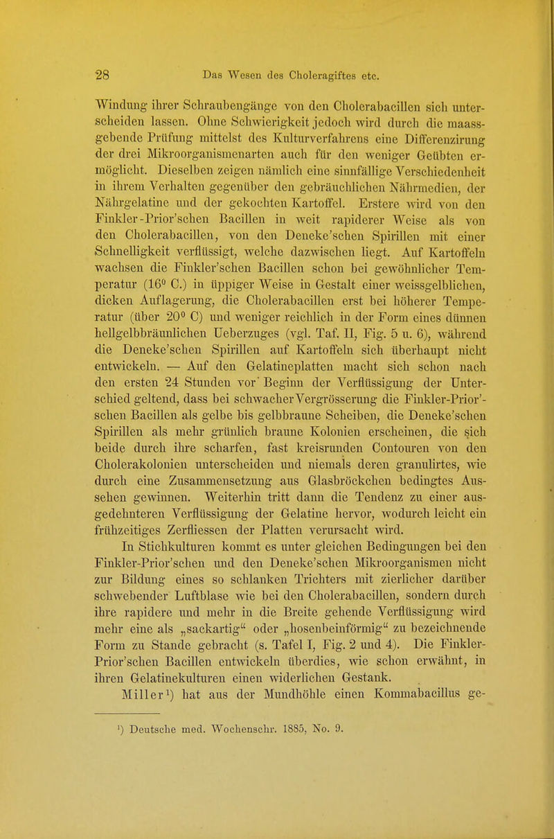 Windung ihrer Schraubengänge von den Cliolerabacillen sieh unter- scheiden lassen. Ohne Scliwierigkeit jedoch wird durch die maass- gebende Prüfung mittelst des Kulturverfahrens eine Differenzirung der drei Mikroorganismenarten auch für den weniger Geübten er- möglicht. Dieselben zeigen nämlich eine sinnfällige Verschiedenheit in ihrem Verhalten gegenüber den gebräuchlichen Nährmedien, der Nährgelatine und der gekochten Kartoifel. Erstere wird von den Finkler-Prior'schen Bacillen in weit rapiderer Weise als von den Cholerabacillen, von den Deneke'schen Spirillen mit einer Schnelligkeit verflüssigt, welche dazwischen liegt. Auf Kartoifeln wachsen die Finkler'schen Bacillen schon bei gewöhnlicher Tem- peratur (16^ C.) in üppiger Weise in Gestalt einer weissgelblichen, dicken Auflagerung, die Cholerabacillen erst bei höherer Tempe- ratur (über 20° C) und weniger reichlich in der Form eines dünnen hellgelbbräunlichen üeberzuges (vgl. Taf. II, Fig. 5 u. 6), während die Deneke'schen Spirillen auf Kartoffeln sich überhaupt nicht entwickeln. — Auf den Gelatineplatten macht sich schon nach den ersten 24 Stunden vor' Beginn der Verflüssigung der Unter- schied geltend, dass bei schwacherVergrösserung die Finkler-Prior'- schen Bacillen als gelbe bis gelbbraune Scheiben, die Deneke'schen Spirillen als mehr grünlich braune Kolonien erscheinen, die sich beide durch ihre scharfen, fast kreisrunden Contouren von den Cholerakolonien unterscheiden und niemals deren granulirtes, wie durch eine Zusammensetzung aus Glasbröckchen bedingtes Aus- sehen gewinnen. Weiterhin tritt dann die Tendenz zu einer aus- gedehnteren Verflüssigung der Gelatine hervor, Avodurch leicht ein frühzeitiges Zerfliessen der Platten verursacht wird. In Stichkulturen kommt es unter gleichen Bedingungen bei den Finkler-Prior'schen und den Deneke'schen Mikroorganismen nicht zur Bildung eines so schlanken Trichters mit zierlicher darüber schwebender Luftblase wie bei den Cholerabacillen, sondern durch ihre rapidere und mehr in die Breite gehende Verflüssigung wird mehr eine als „sackartig oder „hosenbeinförmig zu bezeichnende Form zu Stande gebracht (s. Tafel I, Fig. 2 und 4). Die Finkler- Prior'schen Bacillen entwickeln überdies, wie schon erwähnt, in ihren Gelatinekulturen einen widerlichen Gestank. Miller 1) hat aus der Mundhöhle einen Kommabacillus ge-