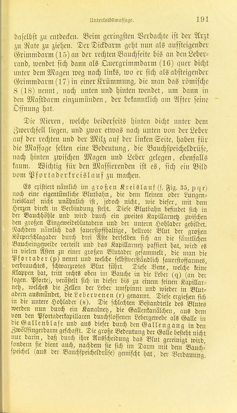bafetbft §u entbecfen, 93eitn geringften 95erbac£)te if± ber SCrgt 511 9iate gu giefjen. ®er ©icfborm getjt nun at§ auffteigenber ©rimmbarm (15) an ber rechten 95auct)fette bi§ an benöeber= ranb, menbet fid) bann at§ Öuergrimmbarm (16) quer bidjt unter bem Sftagen roeg nad) \\r\U, wo er ficf) al§ abfteigenber ®rimmbarm (17) in einer Krümmung, bie man bo§ römifdje S (18) nennt, nad) unten unb Bütten raenbet, um bann in ben SDiaftbarm eiugumünben, ber befannttid) am Alfter feine Öffnung fjat. Sie Bieren, metdje beiberfeit§ fjinten bid)t unter bem 3merd)fett liegen, unb gmar ettua§ nacü unten Don berßeber auf ber rechten unb ber 9Mg auf ber linfen (Seite, haben für bie ÜDJaffage feiten eine Sßebeutung, bie 53audjfpeid)elbrüfe, nad) hinten gnnfcfjen Sftagen unb Seber gefegen, ebenfalls? faum. SSidjtig für ben äftoffierenben ift e§, fid) ein 53üb üom $f ortaberf'reiSiauf gu mactjen. (§S erfriert nämtid) im großen Är ei Stauf (f. §ig. 35, pqr) uocf) eine eigentümliche «tutbatm, bie beut flehten ober 2ungen= freiStauf nidjt unäijntid) ift, jebod) nidjt, iure biefer, mit bem §erjen bireft in Skrbinbung ftet)t. 2>iefe SBiutbafjn befinbet fia) in ber Sßaud}t)öt)Ie unb roirb burd) ein sroeiteS tcunuarnefc snnfrfjen ben großen Singeroeibebtutcibera unb ber untern £>ot)taber gebitbet. 9?ad)bem nämtia) baS faiterftofff)altige, lt)eHrote «tut ber großen Äörperfd)tagaber burd) brei ffte berfetben fid) an bie fämtlidjen 33aucf)emgett>eibe »erteilt unb baS ^iüarnetj paffiert t;at, »wirb es in bieten Stften 31t einer großen Slutaber gefammett, bie man bie ^Pfortaber (p) nennt unb roeldje fetbftberftänbM) fauerftoffarmeS tierbraud)teS, fd)roarsrote§ «tut füfert. ®iefe SSene, roeldje feine Slawen t;at, tritt red)tS oben im 33aud)e in bie Seber (q) (an bel- ogen. Pforte), ueräftett fid) in biefer bis ju einem feinen $ctytttdr= ne£, roetdjeS bie 3etteu ber Seber untfpinnt unb roieber in 33tut= abern auSmünbet, bie 2 eb er innen (r) genannt. Siefe ergießen fid) tu bte untere £obtaber (s). ®ie fd)ted)ten SSeftanbteite beS «lutes »erben nun burd) ein tanaütei;, bie ©aaenfattäld)en, aus bem toon ben ^fortaberfatoi'tlaren burd)f(offenen Sebergeroebe als ©alte in bte ©altenbtafe unb aus biefer burd) ben ©attenganq in ben ,3tootfftngerbarm gefa)afft. Sie große «ebeutung ber ©alte Beftebt nttfit nur barm, baß burd) if)re 2tuSfd)eibuug baS SSXut gereinigt roirb onbern fte btent aud), nad)bem fie ftcf im 35arm mit bem 23aud>= fpetrt)c( (aus ber S3aud)fbeid)etbritfe) geiuifd)t l)at, ber «erbauung
