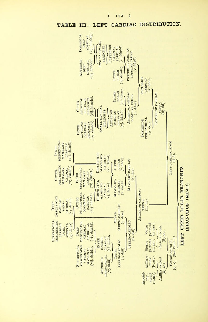 TABLE III.—LEFT CARDIAC DISTRIBUTION.