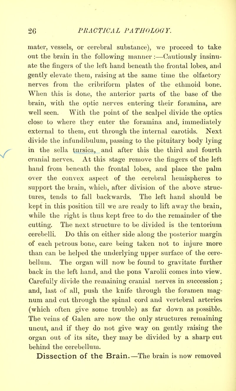 mater, vessels, or cerebral substance), we proceed to take out the brain in the following manner :—Cautiously insinu- ate the fingers of the left hand beneath the frontal lobes, and gently elevate them, raising at the same time the olfactory nerves from the cribriform plates of the ethmoid bone. When this is done, the anterior parts of the base of the brain, with the optic nerves entering their foramina, are well seen. With the point of the scalpel divide the optics close to where they enter the foramina and, immediately external to them, cut through the internal carotids. Next divide the infundibulum, passing to the pituitary body lying in the sella tursica, and after this the third and fourth cranial nerves. At this stage remove the fingers of the left hand from beneath the frontal lobes, and place the palm over the convex aspect of the cerebral hemispheres to support the brain, which, after division of the above struc- tures, tends to fall backwards. The left hand should be kept in this position till we are ready to lift away the brain, while the light is thus kept free to do the remainder of the cutting. The next structure to be divided is the tentorium cerebelli. Do this on either side along the posterior margin of each petrous bone, care being taken not to injure more than can be helped the underlying upper surface of the cere- bellum. The organ will now be found to gravitate further back in the left hand, and the pons Varolii comes into view. Carefully divide the remaining cranial nerves in succession; and, last of all, push the knife through the foramen mag- num and cut through the spinal cord and vertebral arteries (which often give some trouble) as far down as possible. The veins of Galen are now the only structures remaining uncut, and if they do not give way on gently raising the organ out of its site, they may be divided by a sharp cut behind the cerebellum. Dissection of the Brain.—The brain is now removed