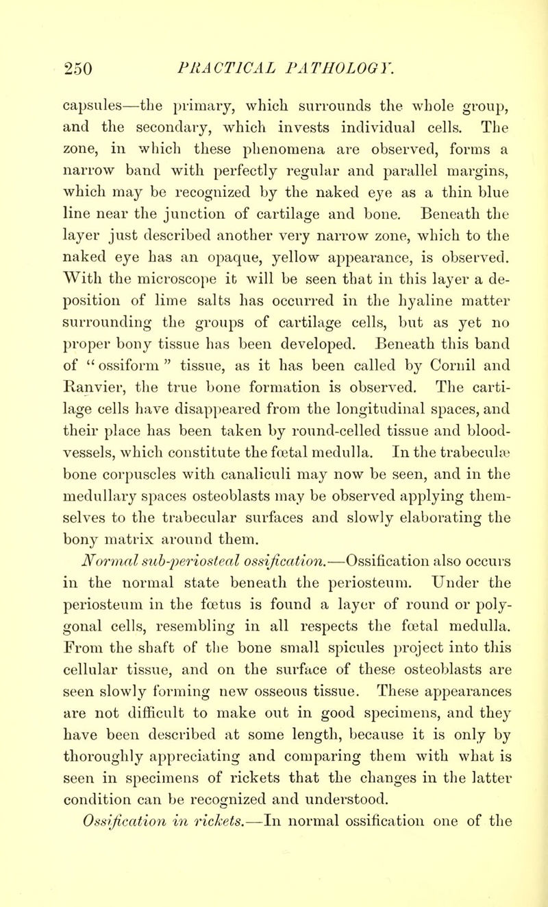 capsules—the primary, which surrounds the whole group, and the secondary, which invests individual cells. The zone, in which these phenomena are observed, forms a narrow band with perfectly regular and parallel margins, which may be recognized by the naked eye as a thin blue line near the junction of cartilage and bone. Beneath the layer just described another very narrow zone, which to the naked eye has an opaque, yellow appearance, is observed. With the microscope it will be seen that in this layer a de- position of lime salts has occurred in the hyaline matter surrounding the groups of cartilage cells, but as yet no proper bony tissue has been developed. Beneath this band of ossiform tissue, as it has been called by Cornil and Ranvier, the true bone formation is observed. The carti- lage cells have disappeared from the longitudinal spaces, and their place has been taken by round-celled tissue and blood- vessels, which constitute the fetal medulla. In the trabecular bone corpuscles with canaliculi may now be seen, and in the medullary spaces osteoblasts may be observed applying them- selves to the trabecular surfaces and slowly elaborating the bony matrix around them. Normal subperiosteal ossification.—Ossification also occurs in the normal state beneath the periosteum. Under the periosteum in the foetus is found a layer of round or poly- gonal cells, resembling in all respects the foetal medulla. From the shaft of the bone small spicules project into this cellular tissue, and on the surface of these osteoblasts are seen slowly forming new osseous tissue. These appearances are not difficult to make out in good specimens, and they have been described at some length, because it is only by thoroughly appreciating and comparing them with what is seen in specimens of rickets that the changes in the latter condition can be recognized and understood. Ossification in rickets.—In normal ossification one of the