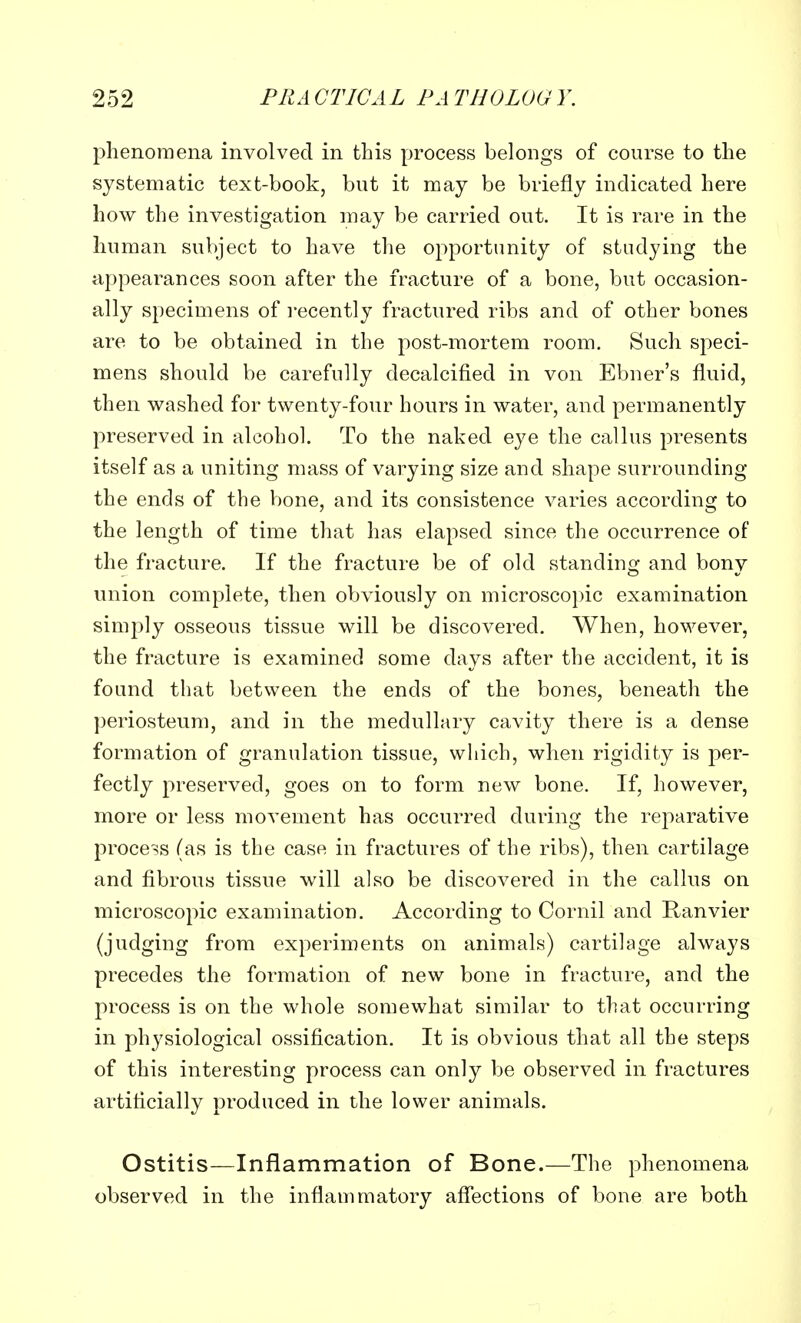 phenomena involved in this process belongs of course to the systematic text-book, but it may be briefly indicated here how the investigation may be carried out. It is rare in the human subject to have the opportunity of studying the appearances soon after the fracture of a bone, but occasion- ally specimens of recently fractured ribs and of other bones are to be obtained in the post-mortem room. Such speci- mens should be carefully decalcified in von Ebner's fluid, then washed for twenty-four hours in water, and permanently preserved in alcohol. To the naked eye the callus presents itself as a uniting mass of varying size and shape surrounding the ends of the bone, and its consistence varies according to the length of time that has elapsed since the occurrence of the fracture. If the fracture be of old standing and bony union complete, then obviously on microscopic examination simply osseous tissue will be discovered. When, however, the fracture is examined some days after the accident, it is found that between the ends of the bones, beneath the periosteum, and in the medullary cavity there is a dense formation of granulation tissue, which, when rigidity is per- fectly preserved, goes on to form new bone. If, however, more or less movement has occurred during the reparative process (as is the case in fractures of the ribs), then cartilage and fibrous tissue will also be discovered in the callus on microscopic examination. According to Cornil and Ranvier (judging from experiments on animals) cartilage always precedes the formation of new bone in fracture, and the process is on the whole somewhat similar to that occurring in physiological ossification. It is obvious that all the steps of this interesting process can only be observed in fractures artificially produced in the lower animals. Ostitis—Inflammation of Bone.—The phenomena observed in the inflammatory affections of bone are both