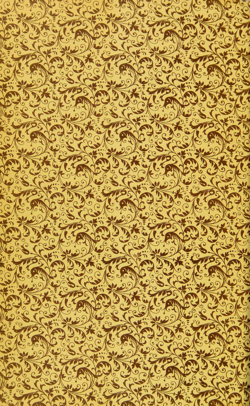 ■14 .<?. ^ - ■-r> :rr>