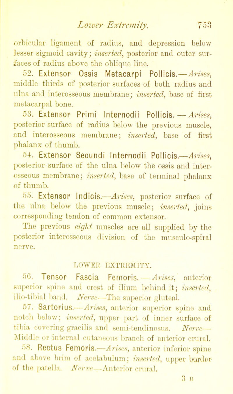 orl)i(^ular ligament of radius, and depresBion below lesser sigmoid cavity; inserted, posterior and outer sur- faces of radius above the oblique line. •52. Extensor Ossis Metacarpi Pollicis.—Arises, middle thirds of posterior surfaces of both radius and ulna and interosseous membrane; inserted, base of first metacarpal bone. 5.3. Extensor Primi Internodii Pollicis.—Arises, posterior surface of radius below the previous muscle, and interosseous membrane; inserted, base of first phalanx of thumb. 54. Extensor Secundi Internodii Pollicis.—Arues, posterior surface of the ulna lielow the ossis and inter- osseous membrane; inserted, base of terminal phalanx of thumb. 55. Extensor Indicis.—-Arises, posterior surface of the ulna below the previous muscle; inserted, joins corresponding tendon of common extensor. The previous eiglit muscles are all supplied by tlie posterior interosseous division of the musculo-spiral nerve. LOWFJ; KXTRKMTTY. 5G. Tensor Fascia Femoris. — Arises, anterior .superior spine and cri^st of ilium behind it; iiiserfcf/, ilio-til)ial band. Nn-i)e—The superior gluteal. 57. Sartorius,— Arises, anterior superior spine and notch ]ich)w; inserted, upper part of inner surface of tibia covering gracilis and senii-teudinosus. Nr-rre— ]Vliddie or internal cutaneous braiicli of anterior crural. 58. Rectus Femoris.—/Ir/w.s', anterior inferior spine and above hrini of acetabulum; innrrtrd, u]>per border of the patidl.T. Nrrrp—yVntcrinr crural.