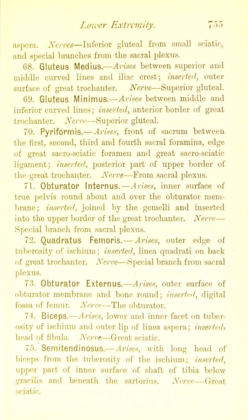 .ispera. Xerres—Inferior gluteal from small seiatie, and special branches from the sacral plexus. 68. Gluteus Medius.—Arises between superior and middle curved lines and iliac crest; inserted, outer surface of great trochanter. Nerve—Superior gluteal. 69. Gluteus Minimus.—Arims between middle and inferior curved lines; inserted, anterior border of great trochanter. Nerre—Superior gluteal. 70. Pyriformis.—Arises, front of sacrum between the first, second, third and fourth sacral foramina, edge of great sacro-sciatic foramen and great sacro-sciatic ligament; inserted, posterior part of upper border of the great trochanter. Nerve—From sacral plexus. 71. Obturator Internus. —-4/7ses, inner surface of true pelvis round about and over the obturator mem- brane; inserted, joined by the gemelli and inserted into the upper border of the great trochanter. Nerrc—• Special branch from sacral plexus. 72. Quadratus Femorls.—Arises, outer edge of tuberosity of ischium; inserted, linea quadrati on back of great trochanter. Nerve—Special branch from sacral jilexus. 73. Obturator Externus.—Arise.'<, outer surface of obturator membrane and bone round; inserted, digital fossa of femur. Nfrrc—The obturator. 74. Biceps.—-Arises, lower and inner facet on tuber- osity of iscliiuHi and outer lip of linea aspcra; inserted, head of fibula. Nerve—Great sciatic. 7). Semitendinosus.— yl?7.««, witli long head of biceps from the tuberosity of the ischium; inserted, upper part of inner surface of shaft of tibia below gracilis and beneath the sartbrius. Nnrr.e—Great .sciatic.