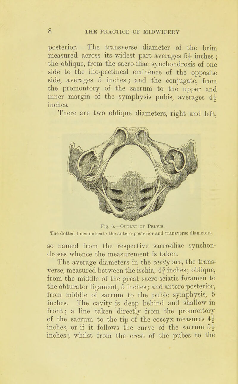 posterior. The transverse diameter of the brim measured across its widest part averages 5£ inches; the oblique, from the sacro-iliac synchondrosis of one side to the ilio-pectineal eminence of the opposite side, averages 5 inches; and the conjugate, from the promontory of the sacrum to the upper and inner margin of the symphysis pubis, averages 4£ inches. There are two oblique diameters, right and left, Fig. 6.—Outlet of Pelvis. The dotted lines indicate the anteroposterior and transverse diameters. so named from the respective sacro-iliac synchon- droses whence the measurement is taken. The average diameters in the cavity are, the trans- verse, measured between the ischia, 4f inches; oblique, from the middle of the great sacro-sciatic foramen to the obturator ligament, 5 inches; and antero-posterior, from middle of sacrum to the pubic symphj^sis, 5 inches. The cavity is deep behind and shallow in front; a line taken directly from the promontory of the sacrum to the tip of the coccyx measures ih inches, or if it follows the curve of the sacrum 5£ inches; whilst from the crest of the pubes to the