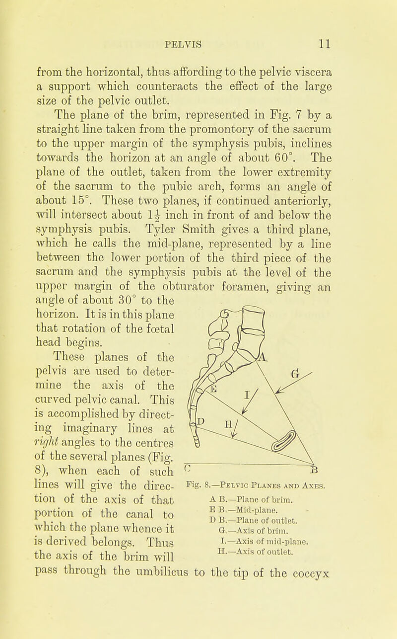 from the horizontal, thus affording to the pelvic viscera a support which counteracts the effect of the large size of the pelvic outlet. The plane of the brim, represented in Fig. 7 by a straight line taken from the promontory of the sacrum to the upper margin of the symphysis pubis, inclines towards the horizon at an angle of about 60°. The plane of the outlet, taken from the lower extremity of the sacrum to the pubic arch, forms an angle of about 15°. These two planes, if continued anteriorly, will intersect about 11 inch in front of and below the symphysis pubis. Tyler Smith gives a third plane, which he calls the mid-plane, represented by a line between the lower portion of the third piece of the sacrum and the symphysis pubis at the level of the upper margin of the obturator foramen, giving an angle of about 30° to the horizon. It is in this plane that rotation of the foetal head begins. These planes of the pelvis are used to deter- mine the axis of the curved pelvic canal. This is accomplished by direct- ing imaginary lines at right angles to the centres of the several planes (Fig. 8), when each of such lines will give the direc- tion of the axis of that portion of the canal to which the plane whence it is derived belongs. Thus the axis of the brim will pass through the umbilicus to the tip of the coccyx Fig. 8.—Pelvic Planes and Axes. A B.—Plane of brim. E B.—Miil-pIane. D B.—Plane of outlet. G. —Axis of brim. I.—Axis of mid-plane. H. —Axis of outlet.