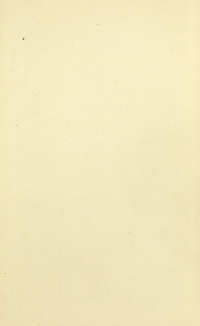 digitised image 3