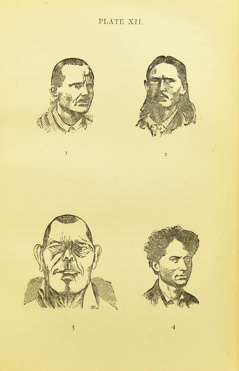 PLATE XI[. 3 4