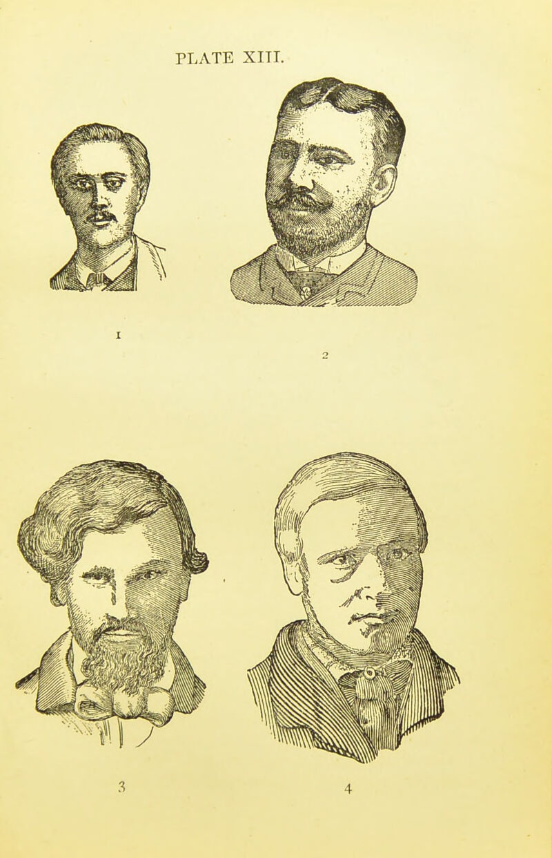 PLATE XITT.