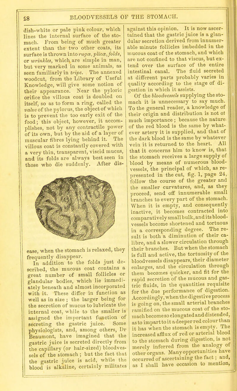£8 dish-white or pale pink colour, which lines the internal surface of the sto- mach. From being of much greater extent than the two other coats, its surface is thrown into rugce, plica:, folds, or wrinkles, which are simple in man, but very marked in some animals, as seen familiarly in tri-pe. The annexed woodcut, from the Library of Useful Knowledge, will give some notion of their appearance. Near the pyloric orifice the villous coat is doubled on itself, so as to form a ring, called the valve of the pylorus, the object of which is to prevent the too early exit of the food; this object, however, it accom- plishes, not by any contractile power of its own, but by the aid of a layer of muscular fibres lying behind it. The villous coat is constantly covered with a very thin, transparent, viscid mucus, and its folds are always best seen in those who die suddenly. After dis- ease, when the stomach is relaxed, they frequently disappear. In addition to the folds just de- scribed, the mucous coat contains a great number of small follicles or glandular bodies, which lie immedi- ately beneath and almost incorporated with it. These differ in function as well as in size ; the larger being for the secretion of mucus to lubricate the internal coat, while to the smaller is assigned the important function of secreting the gastric juice. Some physiologists, and, among others, Dr Beaumont, have imagined that the gastric juice is secreted directly from the capillary (or hair-sized) bloodves- sels of the stomach ; but the fact tliat the gastric juice is acid, while the blood is alkaline, certainly militates against this opinion. It is now ascer- tained that the gastric juice is a glan- dular secretion derived from innumer- able minute follicles imbedded in the mucous coat of the stomach, and which are not confined to that viscus, but ex- tend over the surface of the entire intestinal canal. The fluid secreted at different parts probably varies in quality according to the stage of di- gestion in which it assists. Of the bloodvessels supplying the sto- mach it is unnecessary to say much. To the general reader, a knowledge of their origin and distribution is not ol much importance ; because the nature of the red blood is the same by what- ever artery it is supplied, and that of the dark blood is the same by whatever vein it is returned to the heart. All that it concerns him to know is, that the stomach receives a large supply of blood by means of numerous blood- vessels, the principal of which, as re- presented in the cut, fig. 1, page 24, follow the course of the greater and the smaller curvatures, and, as they proceed, send off innumerable small branches to every part of the stomach. When it is empty, and consequently inactive, it becomes contracted into comparatively smallbulk, and its blood- vessels become shortened and tortuous in a corresponding degree. The re- sult is both a diminution of their ca- libre, and a slower circulation through their branches. But when the stomach is full and active, the tortuosity of the bloodvessels disappears, their diameter enlarges, and the circulation through them becomes quicker, and fit for the rapid secretion of the mucous and gas- tric fluids, in the quantities requisite for the due performance of digestion. Accordingly, when the digestive process is going on, the small arterial branches ramified on the mucous coat of the sto- mach become so elongated anddistended, as to impart to it a deeper red colour than it has when the stomach is empty. The increased afilux of red or arterial blood to the stomach during digestion, is not merely inferred from the analogy of other organs. Many opportunities have occurred of ascertaining the fact; and, as I shall have occasion to mention,