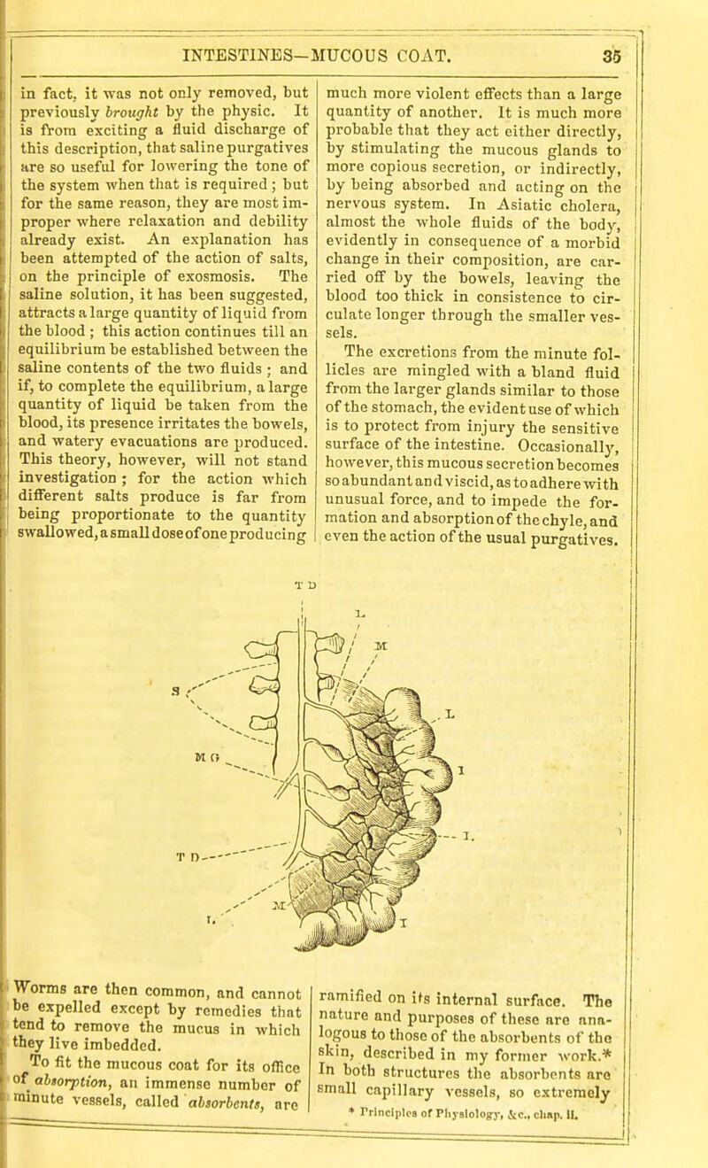 in fact, it was not only removed, but previously brought by the physic. It is from exciting a fluid discharge of this description, that saline purgatives are so useful for lowering the tone of the system when that is required ; but for the same reason, they are most im- proper where relaxation and debility already exist. An explanation has been attempted of the action of salts, on the principle of exosmosis. The saline solution, it has been suggested, attracts a large quantity of liquid from the blood ; this action continues till an equilibrium be established between the saline contents of the two fluids ; and if, to complete the equilibrium, a large quantity of liquid be taken from the blood, its presence irritates the bowels, and watery evacuations are produced. This theory, however, will not stand investigation ; for the action which different salts produce is far from being proportionate to the quantity swallowed, a small doseof oneproducing much more violent effects than a large quantity of another. It is much more probable that they act either directly, by stimulating the mucous glands to more copious secretion, or indirectly, by being absorbed and acting on the nervous system. In Asiatic cholera, almost the whole fluids of the body, evidently in consequence of a morbid change in their composition, are car- ried off by the bowels, leaving the blood too thick in consistence to cir- culate longer through the smaller ves- sels. The excretions from the minute fol- licles are mingled with a bland fluid from the larger glands similar to those of the stomach, the evident use of which is to protect from injury the sensitive surface of the intestine. Occasionally, however, this mucous secretion becomes so abundant an d viscid, as to adhere with unusual force, and to impede the for- mation and absorption of the chyle, and even the action of the usual purgatives. M o T D ' I Worms are then common, and cannot I be expelled except by remedies that ■tend to remove the mucus in which -they live imbedded. To fit the mucous coat for its office •ot abiorption, an immense number of 'minute vessels, called absorbents, are ramified on Us internal surface. The nature and purposes of these are ana- logous to those of the absorbents of the skin, described in my former work.* In both structures the absorbents are small capillary vessels, so extremely * Trlnciplos of Physiology, ice, clmp. II.