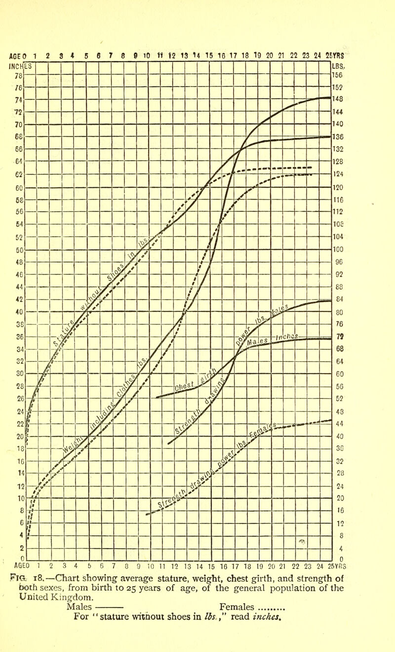 LBS.. 156 15? U8 144 140 136 132 128 124 120 116 112 loe 104 100 ES / 4 / / A \^ L / 1 if f J —r # ! 1 ^) ; ^* A I- c/ic s— -A f es. -— / A 'f * y f y f lie w 7 \ £ K / s— '— r / u \ i / y ) -ff S- t il r r AGEO 1 2 3 4 b 6 7 0 9 10 n 12 13 U 15 16 17 18 19 20 21 22 23 24 25YR3 Fig. t8.—Chart showing average stature, weight, chest girth, and strength of both sexes, from birth to 25 years of age, of the general population of the United Kingdom. Males Females For stature without shoes in Ids , read inches^