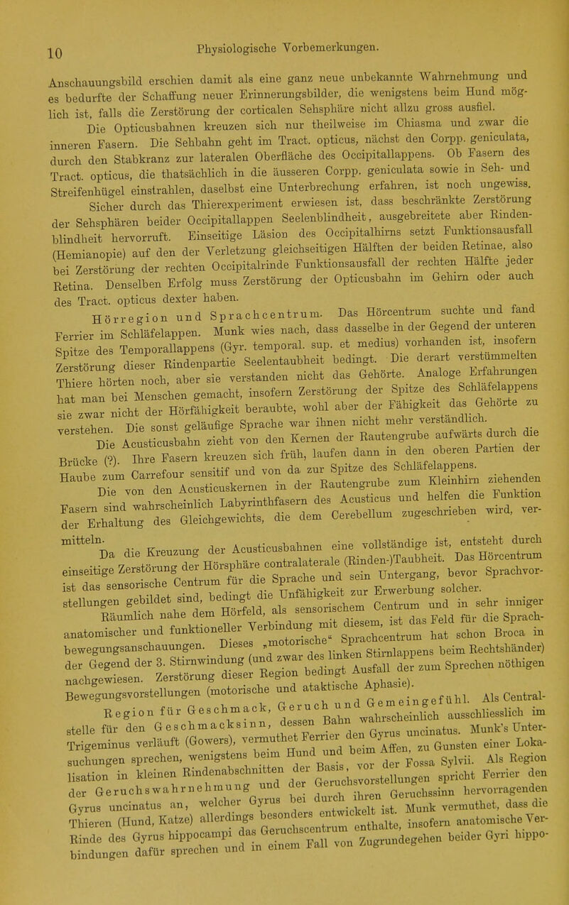Anschauungsbild erschien damit als eine ganz neue unbekannte Wahrnehmung und es bedurfte der Schaffung neuer Erinnerungsbilder, die wenigstens beim Hund mög- lich ist, falls die Zerstörung der corticalen Sehsphäre nicht allzu gross ausfiel. Die Opticusbahnen kreuzen sich nur theilweise im Chiasma und zwar die inneren Fasern. Die Sehbahn geht im Tract. opticus, nächst den Corpp. geniculata. durch den Stabkranz zur lateralen Oberfläche des Occipitallappens. Ob Fasern des Tract opticus, die thatsächlich in die äusseren Corpp. geniculata sowie in Seh- und Streifenhüo-el einstrahlen, daselbst eine Unterbrechung erfahren, ist noch ungewiss. Sicher durch das Thierexperiment erwiesen ist, dass beschränkte Zerstörung der Sehsphären beider Occipitallappen Seelenblindheit, ausgebreitete a,ber Rmden- blindheit hervorruft. Einseitige Läsion des Occipitalhirns setzt Punktionsausfall (Hemianopie) auf den der Verletzung gleichseitigen Hälften der beiden Retinae, _ also bei Zerstörung der rechten Occipitalrinde Funktionsausfall der rechten Hälfte jeder Eetina. Denselben Erfolg muss Zerstörung der Opticusbahn im Gehirn oder auch des Tract. opticus dexter haben. Hörregion und Sprachcentrum. Das Hörcentrum suchte und fand Ferrier im Schläfelappen. Münk wies nach, dass dasselbe in der Gegend der unteren Sit e des Temporaüappens (Gyr. temporal, sup. et medius) vorhanden ist mso rn le s örung d es!r Rindenpartie Seelentaubheit bedingt. Die derart verstummelten ?We htten noch, aber sie verstanden nicht das Gehörte. Analoge Erfahrungen ^ r .! bPi Menschen gemacht, insofern Zerstörung der Spitze des Schlafelappens i:\r nthf d^H^^^^^^^^^^ wohl aber der Fähigkeit das Ge,,.te zu sie zwar ni „„läufige Sprache war ihnen nicht mehr verständlich. ^^'^ ^^e Acust crlafn ztft von den Kernen der Rautengrube aufwärts durch die Brücke ^) hl Fasern kreuzen sich früh, laufen dann in den oberen Paitien der '''■na die Kreuzung der Acu,tie„Aatoen eine vollstündige ist entsteht durct ■ V 7p™tö^w der mBphäre contralaterale (Binden.)Taubhe.t. Das Horeentmm emseibge Z«»!»™?.!! L die Sprache mid sein üntergang, bevor Sprachvor- ist da, sensomehe '^^^^^^^J^J'^^ Unfähigkeit ™r Erwerbung solcher. Stellungen gebüdet sind, eärngt die u J ;„ ,ehr inn.ger Bäumlrch nahe den. H^ f^^^^^^^^^ Md für die Sprach- Bewe^Tngsvorstellungen (notorische und ata«,sche Region für Geschmack, aLlhliessU^^^ im .teile für den ö-chmack.rnn dessen E^hn^w^^^^^^^^^ Munk's Unter- Trigeminn. verläuft (Gowers). ver-muthet Ferner /'i' ri„er Loka- suchnngen sprechen, wenigstens -^e- H-d -d b .r^ Affen ^^^^^ lisation in kleinen Bmdenabschnitten der B.>«s;J der Gernchswahrnehnrung und de ^^^^^ToJc^^i-' hervorragenden Qvrns nneinatns an, welcher Gyrus bei Münk vermuthet, dass die ?Lren (Hund, Kat.e) -»-«^ gZ—rentit, insofern anatomisch. Ver-