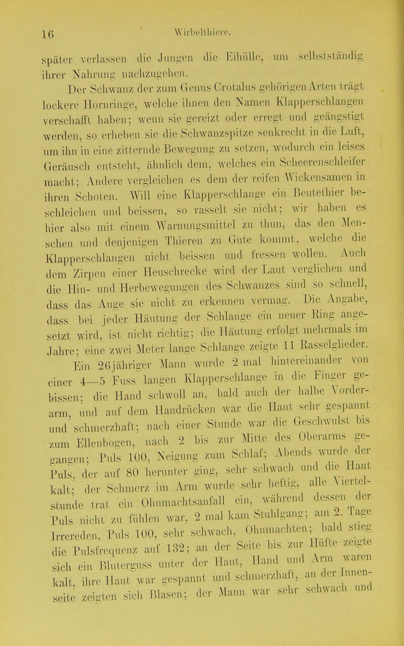 später verlassen die Jungen die Eihülle, um selbstständig ihrer Nahrung nachzugehen. Der Schwanz der zum Genus Grotalus gehörigen Arien fcrägl lockere Eornringe, welche ihnen den Namen Klapperschlangen verschall'! haben; wenn sie gereizl oder erregl und geängstigt werden, so erheben sie die Schwanzspitze senkreeht in die Luft, um ihn in eine zitternde Bewegung zu setzen, wodurch ein Leises Geräusch entsieht, ähnlich dem, welches ein Scheerenschleifer macht; Ajidere vergleichen es dem der reifen Wickensamen in ihren Schoten. Will eine Klapperschlange ein Beutethier be- schleichen und beisscn, so rasselt sie nicht; wir haben es hier also mit einem Warnungsmitte] zu thun, das den Men- schen und denjenigen Thieren zu Gute kommt, welche die Klapperschlangen nicht beissen und fressen wollen. Auch dem Zirpen einer Heuschrecke wird der Laut verglichen und die Hin- und Herbewegungen des Schwanzes sind so schnell, dass das Auge sie nicht zu erkennen vermag. Die Angabc, dass hei jeder Häutung der Schlange ein neuer Ring ange- setzt wink' ist nicht richtig; die Häutimg erfolgt mehrmals im Jahre; eine zwei Meterlange Schlange zeigte 11 Rasselglieder. Ein 26jähriger Mann wurde -2 mal [untereinander von emer 4_5 Fuss Langen Klapperschlange in die Finger ge- hissen; die Hand schwoll an. kahl auch der halbe \ onler- ,nn und auf dem Handrücken war die Haut sehr gespannt and'schmerzhaft; nach einer Stund«- war die Geschwulsl bis zum Ellenbogen, nach 2 bis zur Mitte des Oberarms ge- gangen; Puls 100, Neun, zum Schlaf: Abends wurde der Puls, der auf 80 herunter ging, sehr schwach und die Haut kalt der Schmerz im Arm wurde sehr heftig, alle Viertel- stunde trat ein Olmmachtsanfall ein, während dessen der Puls nicht zu fühlen war, 2 mal kam Stuhlgang; am 2 rage Irrereden, Puls 100, sehr schwach, Olmmachten, bald sfaeg die Pulsfrequenz auf 132; an der Sehe bis zur Hüfte seigte si,h ein Bluterguss unter der Hau,, Hand und Arm waren kalt, ihre Hau, war gespannl and schmerzhaft, an^der Innen- seite zeigten sich Blasen; der Mann war sehr schwach und