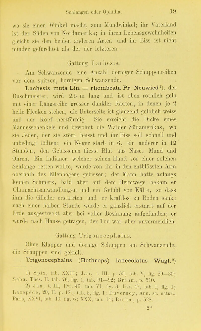 WO sie einen Winkel macht, zum Mundwinkel; ihr Vaterland ist der Süden von Nordamerika; in ihren Lebensgewohnheiten gleich1 sie den beiden anderen Arien und ihr Biss ist nicht minder gefürchtet als der der letzteren. Gattimg Lachesis. Am Schwänzende eine Anzahl dorniger Schuppenreihen vor dem spitzen, hornigen Schwanzende. Lachesis muta Lin. = rhombeata Pr. Neuwied *), der Buschmeister, wird 2,5 m lang und ist oben röthlich gelb mit einer Längsreihe grosser dunkler Rauten, in denen je 2 helle Flecken stehen, die Unterseite ist glänzend gelblich weiss und der Kopf herzförmig. Sie erreicht die Dicke eines Mannesschenkels und bewohnt die Wälder Südamerikas, wo sie Jeden, der sie stört, beisst und ihr Biss soll schnell und unbedingt tödten; ein Neger starb in 6, ein anderer in 12 Stunden, den Gebissenen fiiesst Blut aus Nase, Mund und Ohren. Ein Indianer, welcher seinen Hund vor einer solchen Schlange retten wollte, wurde von ihr in den entblössten Arm oberhalb des Ellenbogens gebissen; der Mann hatte anfangs keinen Schmerz, bald aber auf dem Heimwege bekam er Ohnmachtsanwandlungen und ein Gefühl von Kälte, so dass ihm die Glieder erstarrten und er kraftlos zu Boden sank; nach einer halben Stunde wurde er gänzlich erstarrt auf der Erde ausgestreckt aber bei voller Besinnung aufgefunden; er wurde nach Hause getragen, der Tod war aber unvermeidlich. (i a11ung Trigono cep halus. Ohne Klapper und dornige Schuppen am Schwanzende, die Schuppen sind gekielt, Trigonocephalus (Bothrops) lanceolatus Wagl.2) 1) Spix, tab. XXIII; Jan, t. III, p. 50, tab. V, flg. 29—30; Seba, Thes. II, tab. 76, flg. 1, lab. 91—92; Brehm, p. 510. 2) Jan, t. III, Livr. 4G, tab. VI, flg. 3, livr. 47, tab. I, flg. 1; Lacepöde, 20, Jl, p. 121, lab. 5, flg. 1; Duvernoy, Ann. sc. natur., Paris, XXVI, tab. 10, flg. 6; XXX, lab. 14; Brehm, p. 528. 2*