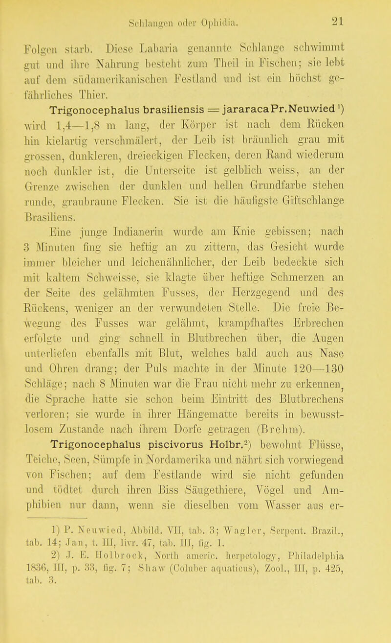 Folgen starb. Diese Labaria genannte Schlange schwimmt gut und ihre Nahrung bestellt zum Theil in Fischen; sie lebt auf «lern südamerikanischen Festland und isl ein höchsl ge- fährliches Thier. Trigonocephalus brasiliensis = jararacaPr.Neuwied ') wird 1.4—1,8 m Läng, der Körper ist nach dem Rücken hin kielartig verschmälert, der Leib isl bräunlich grau mit grossen, dunkleren, dreieckigen Flecken, deren Rand wiederum noch dunkler ist, die Unterseite isl gelblich weiss, an der Grenze zwischen der dunklen und hellen Grundfarbe stehen runde, graubraune Flecken. Sie ist die häufigste Giftschlange Brasiliens. Eine junge Indianerin wurde am Knie gebissen; nach 3 Minuten fing sie heftig an zu zittern, das Gesicht wurde immer bleicher und leichenähnlicher, der Leib bedeckte sich mit kaltem Schweisse, sie klagte über heftige Schmerzen an der Seite des gelähmten Fnsses, der Herzgegend und des Rückens, weniger an der verwundeten Stelle. Die freie Be- wegung des Fusses war gelähmt, krampfhaftes Erbrechen erfolgte und ging schnell in Blutbrechen über, die Augen unterliefen ebenfalls mit Blut, welches bald auch aus Nase und Ohren drang; der Puls machte in der Minute 120—130 Sclüäge; nach 8 Minuten war die Frau nicht mehr zu erkennen? die Sprache hatte sie schon beim Eintritt des Blutbrechens verloren; sie wurde in ihrer Hängematte bereits in bewusst- losem Zustande nach ihrem Dorfe getragen (Brehm). Trigonocephalus piseivorus Holbr.2) bewohnt Flüsse, Teiche, Sem. Sümpfe in Nordamerika und nährt sich vorwiegend von Fischen; auf dem Festlande wird sie nicht gefunden und tödtet durch ihren Biss Säugethierc, Vögel und Am- phibien nur dann, wenn sie dieselben vom Wasser aus er- 1) P. Neuwied, Abbild. VJF, lab. ä; Wagler, Serpent. BraziL, tab. 14; Jan, i. J1J, livr. 47, tab. III, li<>'. 1. 2) -I. E. Flolbrock, North americ. herpetology, Philadelphia mc>. III. i». 33, Hg. 7; Shaw (Ooluber aquatious), Zool., III, p. 435, tab. 3.