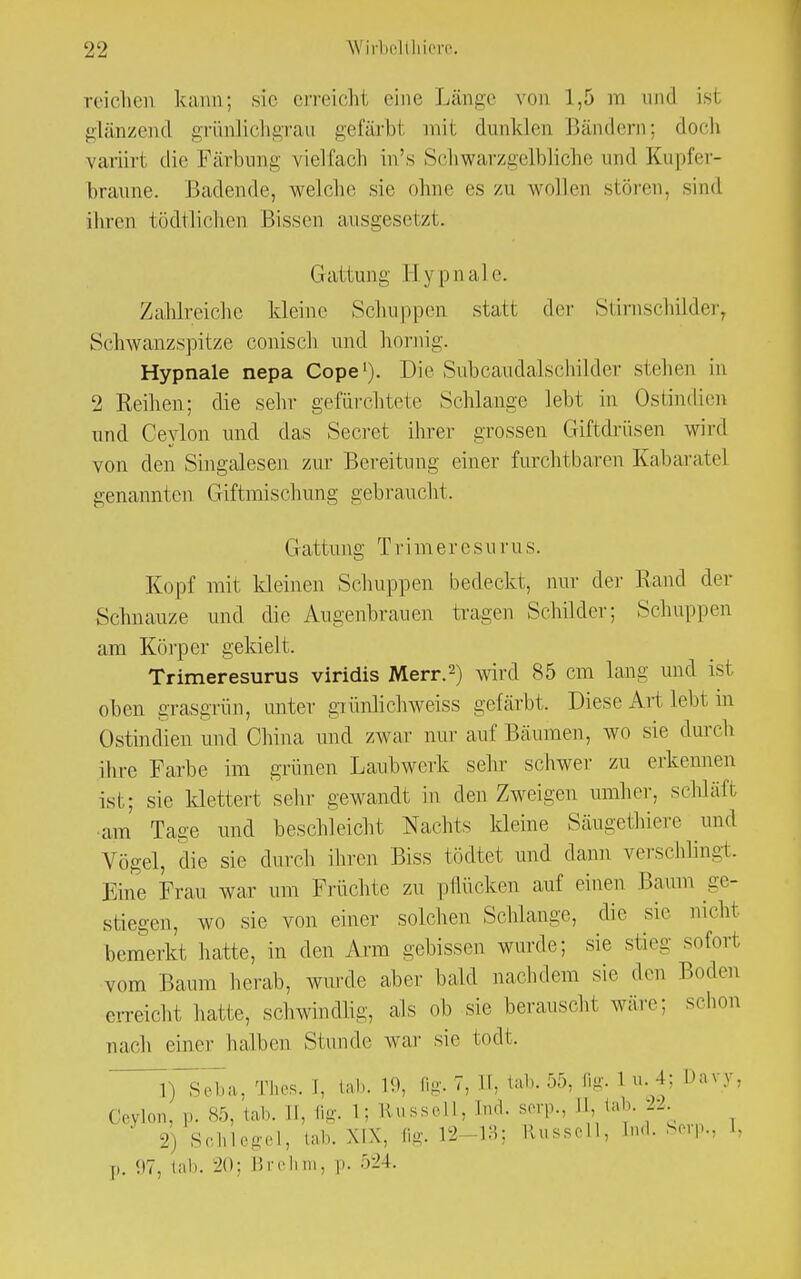 reichen kann; sie erreichl eine Länge von 1,5 ra and isi glänzend grünlichgrau gefärbt mit dunklen Bändern; doch variirt die Färbung vielfach in's Schwarzgelbliche und Kupfer- braune. Badende, welche sie ohne es zu wollen stören, sind ihren iödtliehen Bissen ausgesetzt. Gattung Hypnale. /ahlreiche kleine Schuppen statt der Stirnschilder, Schwanzspitze conisch und hornig. Hypnale nepa Cope1). Die Subcaudalschilder stehen in 2 Reihen; die sehr gefiirchtete Schlange Lebt in Ostindien und Ceylon und das Secret ihrer grossen Giftdrüsen wird von den Singalesen zur Bereitung einer furchtbaren Kabaratel genannten Giftmischung gebraucht. Gattung Trimercsurus. Kopf mit kleinen Schuppen bedeckt, nur der Rand der Schnauze und die Augenbrauen tragen Schilder; Schuppen am Körper gekielt. Trimeresurus viridis Merr.2) wird 85 cm lang und ist oben grasgrün, unter giünlichweiss gefärbt. Diese Art lebt in Ostindien und China und zwar nur auf Bäumen, wo sie durch ihre Farbe im grünen Laubwerk sehr schwer zu erkennen isi; sie klettert sehr gewandt in den Zweigen umher, schläfi am Tage und beschleicht Nachts kleine Säugethiere und Vögel, die sie durch ihren Biss tödtet und dann verschlingt. Eine Frau war um Früchte zu pflücken auf einen Baum ge- stiegen, wo sie von einer solchen Schlange, die sie nicht bemerkt hatte, in den Arm gebissen wurde; sie stieg sofort vom Baum herab, wurde aber bald nachdem sie den Boden erreicht hatte, schwindlig, als ob sie berauscht wäre; schon nach einer halben Stunde war sie fcodt. 1) Seba, Thcs. I, tah. 19, fig, 7, H, lab. 55, fig. 1 » 4; Davy, Ceylon, p. 85, «ab. II. fig. 1: Russell, [nd. serp., U, tab. 22 2) Schlegel, tab. XIX, fig. 12-13; Russoll, [nd. Scrp., I, ,,. 97, tab. 20; Brehm, |». 524.