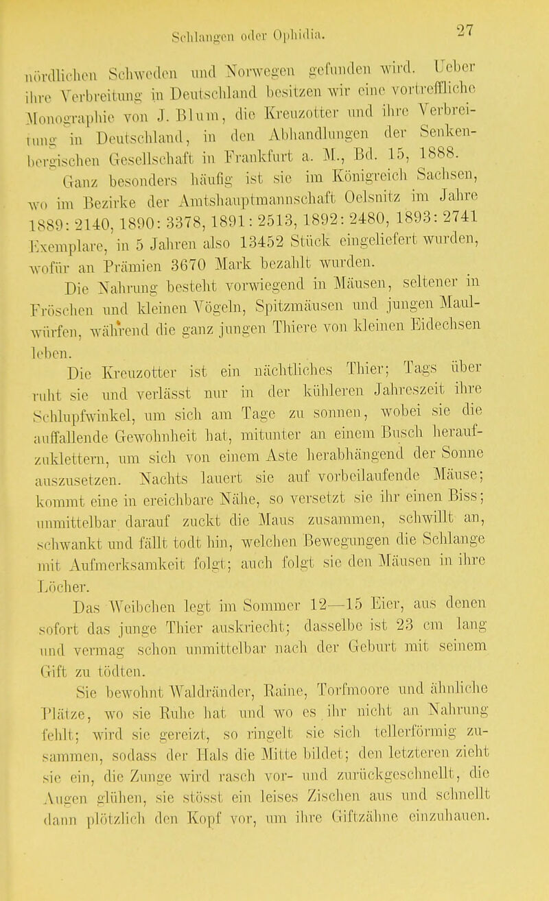 nördlichen Schweden und Norwegen gefunden wird. CTeber ihre Verbreitung in Deutschland besitzen wir eine vortreffliche Monographie ?on J.Blum, die Kreuzotter imd ihre Verbrei- tung in Deutschland, in den Abhandlungen der Senken- bergischen Gesellschaft in Frankfurt a. M., Bd. 15, L888. Ganz besonders häufig ist sie im Königreich Sachsen, wo im Bezirke der Amtshauptmannschaft Oelsnitz im Jahre 1889:2140, 1890: 3378, 1891: 2513, 1892: 2480, 1893: 2741 Exemplare, in 5 Jahren also 13452 Stück eingeliefert wurden, wofür an Prämien 3670 Mark bezahlt wurden. Die Nahrung besteht vorwiegend in Mäusen, seltener in Fröschen und kleinen Vögeln, Spitzmäusen und jungen Maul- würfen, während die ganz jungen Thiere von kleinen Eidechsen leben. Die Kreuzotter ist ein nächtliches Thier; Tags über ruht sie und verlässt nur in der kühleren Jahreszeit ihre Schlupfwinkel, um sich am Tage zu sonnen, wobei sie die auffallende Gewohnheit hat, mitunter an einem Busch herauf- zuklettern, um sich von einem Aste herabhängend der Sonne auszusetzen. Nachts lauert sie auf vorbeilaufende Mäuse; kommt eine in ereiehbare Nähe, so versetzt sie ihr einen Biss; unmittelbar darauf zuckt die Maus zusammen, schwillt an, schwankt und fällt todt hin, welchen Bewegungen die Schlange mir Aufmerksamkeit folgt; auch folgt sie den Mäusen in ihre Löcher. Das Weibchen legt im Sommer 12—15 Eier, aus denen sofort das junge Thier auskriecht; dasselbe ist 23 cm lang und vermag schon unmittelbar nach der Geburt mit seinem Gift zu tödten. Sie bewohnt Waldränder, Raine, Torfmoore und ähnliche Plätze, wo sie Ruhe hat und wo es ihr nicht an Nahrung fehlt; wird sie gereizt, so ringelt sie sich tellerförmig zu- sammen, sodass der Hals die Mitte bildet; den letzteren zieht sie ein, die Zunge wird rasch vor- und zurückgeschnellt, die Augen glühen, sie stÖSSl ein leises Zischen aus und schnellt dann plötzlich den Kopf vor, um ihre Giftzähne einzuhauen.