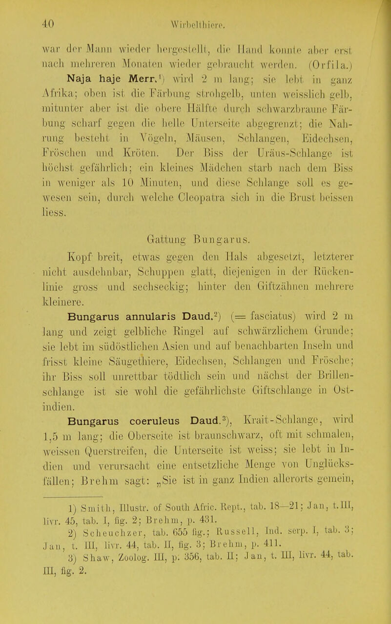 Wirbell liiere war der Mann wieder hergestellt, die Hand konnte aber ersl nach mehreren Monaten wieder gebrauch! werden. (Orfila.) Naja haje MerrJ. wird 2 m lang; sie lebt in ganz Afrika: oben isi die Färbung strohgelb, unten weisslich gelb, mitunter aber isi die obere Hälfte durch schwarzbraune Fär- bung scharf gegen die helle Unterseite abgegrenzt; die Nah- rung bestehi in Vögeln, Mäusen. Schlangen, Eidechsen, Fröschen und Kröten. Der Biss der Uräus-Schlange isi höchst gefährlich; ein kleines Mädchen starb nach dem Biss in weniger als 10 Minuten, und diese Schlange soll es ge- wesen sein, durch welche Cleopatra sich in die Brusi beissen Hess. Gattung B u n ga ru s. Kopf breit, etwas gegen den Mals abgesetzt, letzterer uichi ausdehnbar, Schuppen glatt, diejenigen in der Rücken- linie gross und sechseckig; hinter den Giftzähncn mehrere kleinere. Bungarus annularis Daud.2) (= fasciatus) wird 2 in lang nnd zeigt gelbliche Ringel auf schwärzlichem Grunde; sie lebt im südöstlichen Asien und auf benachbarten Inseln und frisst kleine Sänget liiere, Eidechsen, Schlangen und Frösche; ihr Biss soll unrettbar tödtlich sein und nächst der Brillen- schlange ist sie wühl die gefährlichste Giftschlange in Ost- indien. Bungarus coeruleus Daud.3), Erait-Schlange, wird 1.5 m lang; die Uberseite ist braunschwarz, oft mit schmalen, weissen Qucrstreifen, die Unterseite ist weiss; sie lebt in In- dien und verursachi eine entsetzliche Menge von Unglücks- fällen; Brehm sagt: „Sie ist in ganz Indien allerorts gemein, 1) Smith, Illustr. of South Airic, Rept., tat. 18—21: Jan. t.III, Ihr. 45, tab. 1, fig. 2; Brehm, p. 431. 2) Scheuchzer, tab. 655 flg.; Russell, hui. serp. I, lab. 3: .lau, i. III, livr. 44, lab. Et, iig. 3; Brehm, p. 411. 3) Shaw, Zoolog. III, p. 356, tab. 11; Jan, t. III, livr. 44, lab.