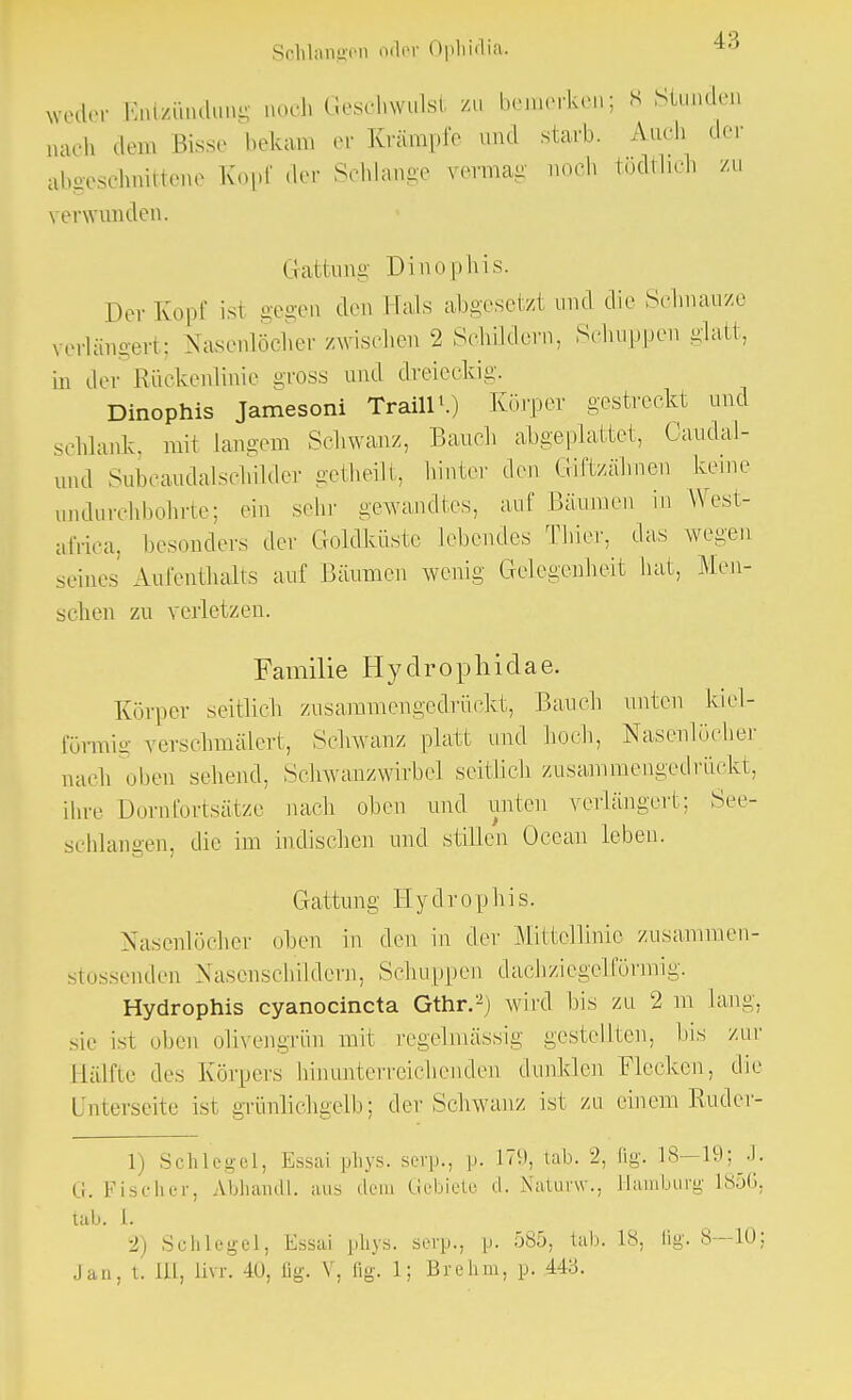 weder Entzündung noch Geschwulst zu bemerken; 8 Stunden naoh dem Bisse bekam er Krämpfe und starb. Auch der abgeschnittene Kopf der Schlange vermag noch tödtiich zu verwunden. Haltung Dinophis. Der Kopf isi gegen den Hals abgesetzt und die Schnauze verlängert; Nasenlöcher /wischen 2 Schildern, Schuppen glatt, in der Rückenlinie gross und dreieckig. Dinophis Jamesoni Traill1.) Körper gestreckt und schlank, mit Langem Schwanz, Bauch abgeplattet, Oaudal- ond Subcaudalschüder getheilt, hinter den Giftzähnen keine andurchbohrte; ein sehr gewandtes, auf Bäumen in West- africa, besonders der Goldküste lebendes Thier, das wegen seines Aufenthalts auf .Bäumen wenig Gelegenheit hat, Men- schen zu verletzen. Familie Hydrophidae. Körper seitlich zusammengedrückt, Bauch unten kiel- förmig verschmälert, Schwanz platt und hoch, Nasenlöcher nach oben sehend, Schwanzwirbel seitlich zusammengedrückt, ihre Dornfortsätze nach oben und unten verlängert; See- schlangen, die im indischen und stillen Ocean leben. Gattung Hydrophis. Nasenlöcher oben in den in der Mittellinie zusammen- stossenden Nasenschildern, Schuppen dachziegelförmig. Hydrophis eyanocineta Gthr.2) wird bis zu 2 m Lang, sie ist oben olivengrün mit regelmässig gestellten, bis zur Bälfte des Körpers hinunterreichendeu dunklen Flecken, die Unterseite ist grünlichgelb; der Schwanz ist zu einem Ruder- 1) Schlegel, Essai phys. serp., p. 179, lab. 2, flg. 18—19; J. G. Fischer, Abhan.ll. aus dem Gebiete d. Xaturw., Hamburg 18Ö<>, tab. 1. i) Schlegel, lissai phys. serp., p. 585. tab. 18, flg. 8—10: Jan, t'. Iii, Ihr. 40, flg. V, flg. 1; Brehm, p. 44b.