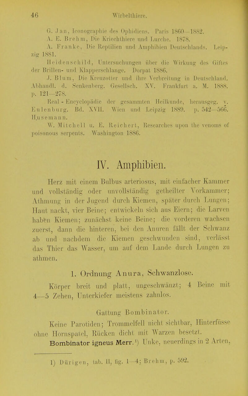 (i. Jan, [conognipliii' des Ophidirns. I'ari> 1860—1882. L E. Bre Ii m. Die Kriechthiere und Lurche. 1878. A. Franke, Die Reptilien und A.mphibien Deutschlands. Leip- zig 1881. Heidenschild, Untersuchungen über die Wirkung des Giftes der Brillen- and Klapperschlange. Dorpal 1886. J. Blum, Die Kreuzotter und ihre Verbreitung in Deutschland. AMandl. d. Senlcenberg. Gesellsch. XV. Frankfurt a. M. 1888. p. 121—278. Real - Encyclopädic der gesamraten Heilkunde, lierausgeg. vr. Eulenburg. Bd. XYJ1. Wien und Leipzig 1889. p. 542 566. lins e Iii a n n. W. Mitchell u. Iii. Reichert, Rosearohes upon Lhe venoms of poisonous serpents. Washington 1886. IV. Amphibien. Herz mit einem Bulbus arteriosus, mii einfacher Kammer und vollständig oder unvollständig getheilter Vorkammer; Ä.thmung in der Jugend durch Kiemen, später durch Lungen; Hain nackt, vier Beine; entwickeln siel) aus Eiern; die Larven haben Kiemen: zunächst keine Beine; die vorderen wachsen zuerst, dann die hinteren, bei dun Anuren fälli der Schwanz ab und nachdem die Kiemen geschwunden sind, verlässi das Thier das Wasser, um auf dem Lande durch Lungen ZU athmen. 1. Ordnung Anura, Schwanzlose. Körper breit und platt, ungeschwänzt; i Beine mi1 4—5 Zehen, Unterkiefer meistens zahnlos. Gattung Bombinator. Keine Parotidei); Trommelfell melii sichtbar, Hinterfüsse ohne Eornspatel, Rücken dicht mrl Warzen besetzt. Bombinator igneus Merr.1) Unke, neuerdings in 2 Arien. 1) Düngen, Lab, II, fig. 1 -4; Brehm, p. 592.