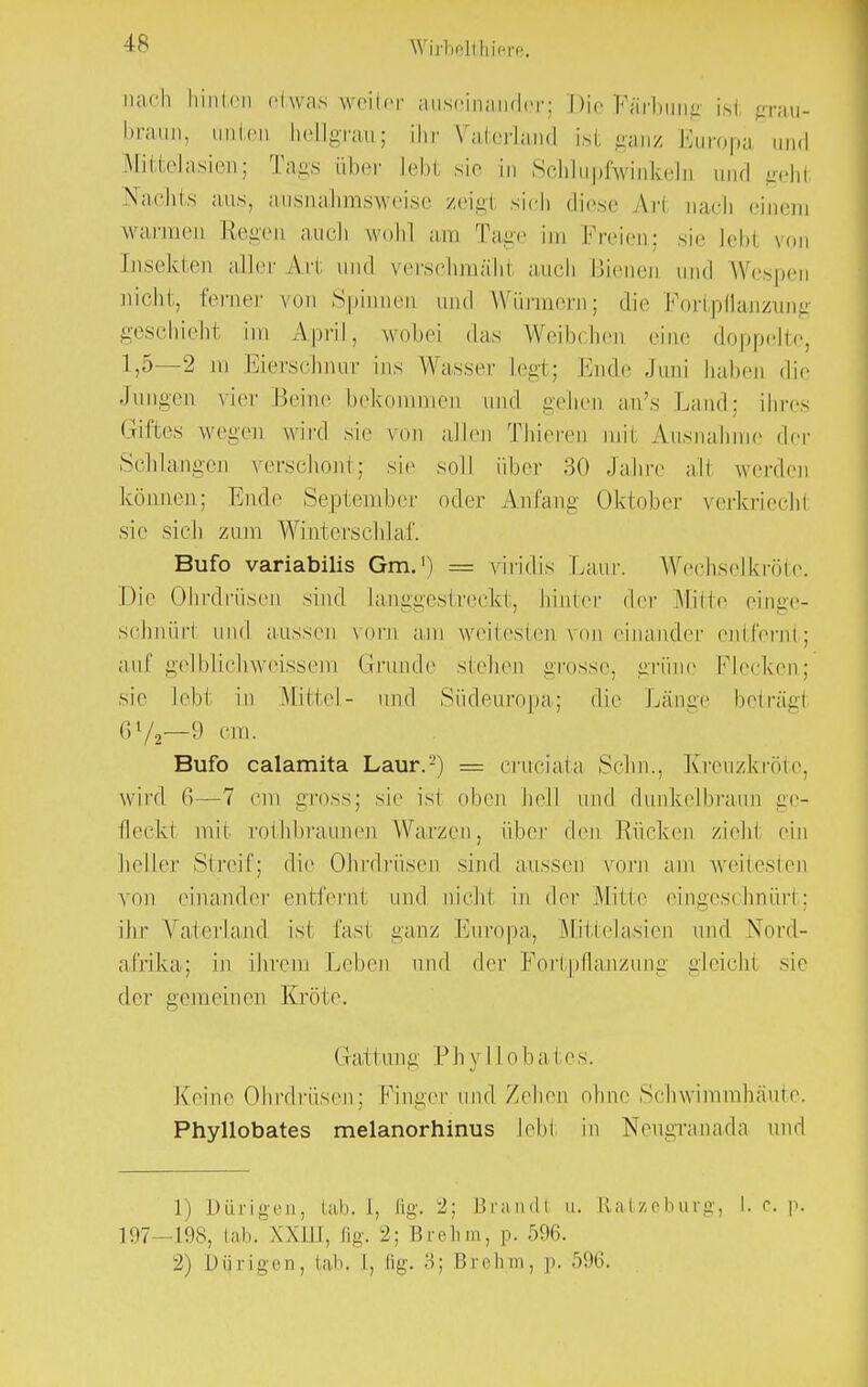 nach hinten etwas weiter auseinander; Die Färbung Isi grau- braun, iinlcn hellgrau; ihr Vaterland ist ganz Buropa and Mittelasien; Tags über Lebt sie in Schlupfwinkeln und gehi Nachts ans, ausnahmsweise zeigi sich diese Ali nach einem warmen Regen auch wohl am Tage im Freien; sie Jehl von tnsekten aller Art und verschmähl auch Bienen und Wespen nicht,, femer von Spinnen und Würmern; die Fortpflanzung geschieht im April, wobei das Weibchen eine doppelte, 1,5—2 m Eiersohnur ins Wasser legt; Knde Juni haben die Jungen vier Beine bekommen und gehen an's Land: ihres Griftes wegen wird sie von allen Thioron inil Ausnahme der Schlangen verschont; sie soll ober 30 Jahre all werden können; Ende September oder Anfang Oktober verkriech) sie sich zum Winterschlaf. Bufo variabilis Gm.') = viridis Laar. Wechselkrötc. Die Ohrdrüsen sind Langgestreckt, hinter der Mitte einge- sohnüri und aussen vorn am weitesten voneinander entfernt; auf gelbliehweissera Grunde stehen grosse, grüne Klecken; sie Lebt in Mittel- und Südeuropa; die Länge betrag! <il/2—9 cm. Bufo calamita Laur.2) = criteiata Sehn., Kreuzkrötc, wird 6—7 cm gross; sie ist oben hell und dunkelbraun ge- fleckl mit rothbraunen Warzen, über den Rücken zieh! ein heller Streif; die Ohrdrüsen sind aussen vorn am weitesten von einander omferni und nicht in der Mitte eingeschnürt; ihr Vaterland isi fasi ganz Europa, Mittelasien und Nord- afrika; in ihrem Leben und der Fortpflanzung gleichl sie der gemeine]) Kröte. Gattung P h \ II o ba i es. Keine Ohrdrüsen; Finger und Zehen ohne Schwimmhäute. Phyllobates melanorhinus Lebt in Neugranada und 1) Dürigen,, tab. I, fig. 2; Brandl u. Ratzoburg, I. e. p. 197—198, lali. XX11J, fig. 2; Brehm, p. 596. 2) Dürigen, lab. I, fig. 3; Brehm, p. 596.