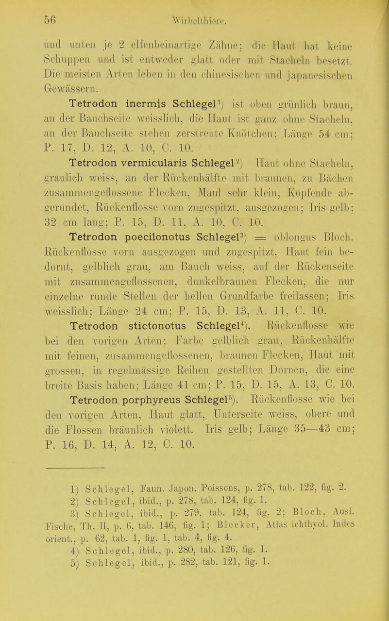 \Y iihcl i liiere und Hillen je 2 elfenbeinartige Zähne; die Hau! lial keine Schuppen und ist entweder glati oder mi1 Stacheln besetzt. Die meisten Arien leben in den chinesischen und japanesischen Gewässern. Tetrodon inermis Schlegel1) isl oben grünlich braun, an der Bauchseite weisslich, die Hau! isi ganz ohne Stacheln, an der Bauchseite stellen zerstreute Knötchen; Länge 54 cm; P. 17, D. 12, A. 10, 0. 10. Tetrodon vermicularis Schlegel2) Hanl ohne Stacheln, graulich w eiss, an der Rückenhälfte mit braunen, zn Bächen zusammengeflossene Flecken, Maul sehr klein, Kopfende ab- gerundet, Rückenflosse vorn zugespitzt, ausgezogen; tris gelb; 32 cm lang; P. 15, D. 11, A. 10, 0. 10. Tetrodon poecilonotus Schlegel3) = oblongus Bloch. Rückenflosse vorn ausgezogen und zugespitzt, Hanl fein be- dornt, gelblich grau, am Bauch weiss, auf der Rüokenseite mit zusammengeflossenen, dunkelbraunen Flecken, die nur einzelne runde Stellen der hellen Grundfarbe Ereilassen; Iris weisslich; Länge 24 cm; P. 15, D. 13, A. 11, C. 10. Tetrodon stictonotus Schlegel4). Rückenflosse wie bei den vorigen Arten; Farbe gelblich grau, Rückenhälfte mir feinen, zusammengeflossenen, braunen Flecken, Hanl mil grossen, in regelmässige Reihen gestellten Dornen, die eine breite Basis haben; Länge 41 cm; P. 15, D. 15, A. 13, C. 10. Tetrodon porphyreus Schlegel5). Rückenflosse w ie bei den vorigen Arien. Hanl -lall, Unterseite weiss, obere und die Flossen bräunlich violett. Iris gelb; Länge 35—43 cm: P. 16, D. 14, A. 12, C. 10. 1) Schlegel, Faun. Japon. Poissons, p. 278, tat). 122, fig. 2. 2) Schlegel, ibid., p. 278, tab, 124, [ig. 1. 3) Schlegel, ibid., p. 279, tab. 124, fig. 2; Bloch, Ausl. Fische, Th. II, p. 6, tab. 14(3, fig. L; Bleeker, Atlas ichthyol. Indes Orient., p. 62, tab. 1, fig. 1, tab. 4, fig. 4. 4) Schlegel, ibid., p. 280, tab. 126, fig, 1.