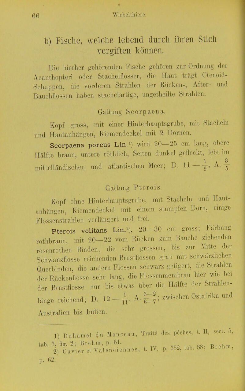 b) Fische, welche lebend durch ihren Stich vergiften können. Die hierher gehörenden Fische gehören zur Ordnung der Acanthopteri oder Stachelflosser, die Eaul trägt Otenoid- Schuppen, die vorderen Strahlen der Rücken-, After- and Bauchflossen haben stachelartige, ungetheilte Strahlen. Gattung Scorpaena. Kopf gross, mit einer Hinterhauptsgrube, mit Stacheln und Hautanhängeh, Kiemendecke] mit 2 Dornen. Scorpaena porcus Lin.1) wird 20—20 cm Lang, obere Hälfte braun, untere röthlich, Seiten dunkel gefleckt, Lebt im 1,3 mittelländischen and atlantischen Meer; 1). 11 g-, A. -j Gattung Pterois. Kopf ohne Hinterhauptsgrube, mit Stacheln und Haut- anh,ängen, Kicmendeckcl mit einem stumpfen Dorn, einige Flossenstrahlen verlängert und frei. Pterois volitans Lin.2), 20—30 cm gross; Färbung rothbraun, mit 20—22 vom Rrud.cn zum Bauche ziehenden rosenrothen Binden, die sehr grossen, bis zur Matte der Schwanzflosse reichenden Brustflossen grau mit schwärzlichen Querbinden, die andern Flossen schwarz getigert, die Strahlen der Rückenflosse sehr Lang, die Flossenmembran bier wie bei der Brustflosse nur bis etwas über die Hälfte der Strahlen- länge reichend; D. 12--£ A. g; zwischen Ostafrika und Australien bis Indien. 1) Duhamel du Monccau, Trailc des peches, t. II, sect. 5, t.IV, ,352,^.88: Brch., p. 62.