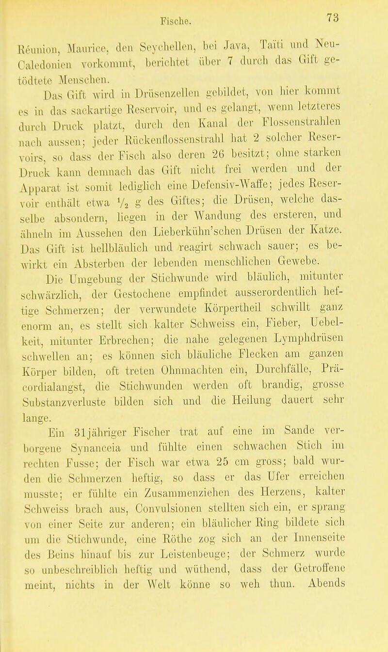 Reunion, Maurice, den Seychellen, bei Java, Taiti and Neu- Oaledonieu vorkommt, berichtet über 7 durch das Gift ge- tödtete Menschen. Das Gifl wird m Drüsenzellen gebildet, von hier kommt es in das sackartige Reservoir, und es gelangt, wenn letzteres durch Druck platzt, durch den Kanal der Flossenstrahlen mich aussen; jeder Rückenllossenstrahl hat 2 solcher Reser- voirs, so dass der Fisch also deren 26 besitzt; ohne starken Druck kann demnach das Gift nicht frei werden und der Apparat ist somit lediglich eine Defensiv-Waffe; jedes Reser- voir enthält etwa % g des Giftes; die Drüsen, welche das- selbe absondern, liegen in der Wandung des ersteren, und ähneln im Aussehen den Lieb erkühn'sehen Drüsen der Katze. Das Gift ist hellbläulich und reagirt schwach sauer; es be- wirkt ein Absterben der lebenden menschlichen Gewebe. Die Umgebung der Stichwunde wird bläulich, mitunter schwarzlich, der Gestochene empfindet ausserordentlich hef- tige Schmerzen; der verwundete Körpertheil schwillt ganz enorm an, es stellt sich kalter Schweiss ein, Fieber, Uebel- keit, mitunter Erbrechen; die nahe gelegenen Lymphdrüsen schwellen an; es können sich bläuliche Flecken am ganzen Körper bilden, oft treten Ohnmächten ein, Durchfälle, Prä- cordialangst, die Stichwunden werden oft brandig, grosse Substanzverluste bilden sich und die Heilung dauert sehr lange. Ein 31 jähriger Fischer trat auf eine im Sande ver- borgene Synanceia und fühlte einen schwachen Stich im rechten Fusse; der Fisch war etwa 25 cm gross; bald wur- den die Schmerzen heftig, so dass er das Ufer erreichen rausste; er fühlte ein Zusammenziehen des Herzens, kalter Schweiss brach aus, Convulsionen stellten sich ein, er sprang von einer Seite zur anderen; ein bläulicher Ring bildete sich am die Stichwunde, eine Rothe zog sich an der Innenseite des Beins hinauf bis zur Leistenbeuge; der Schmerz wurde sm unbeschreiblich heftig und wüthend, dass der Getroffene meint, nichts in der Welt könne so weh thun. Abends