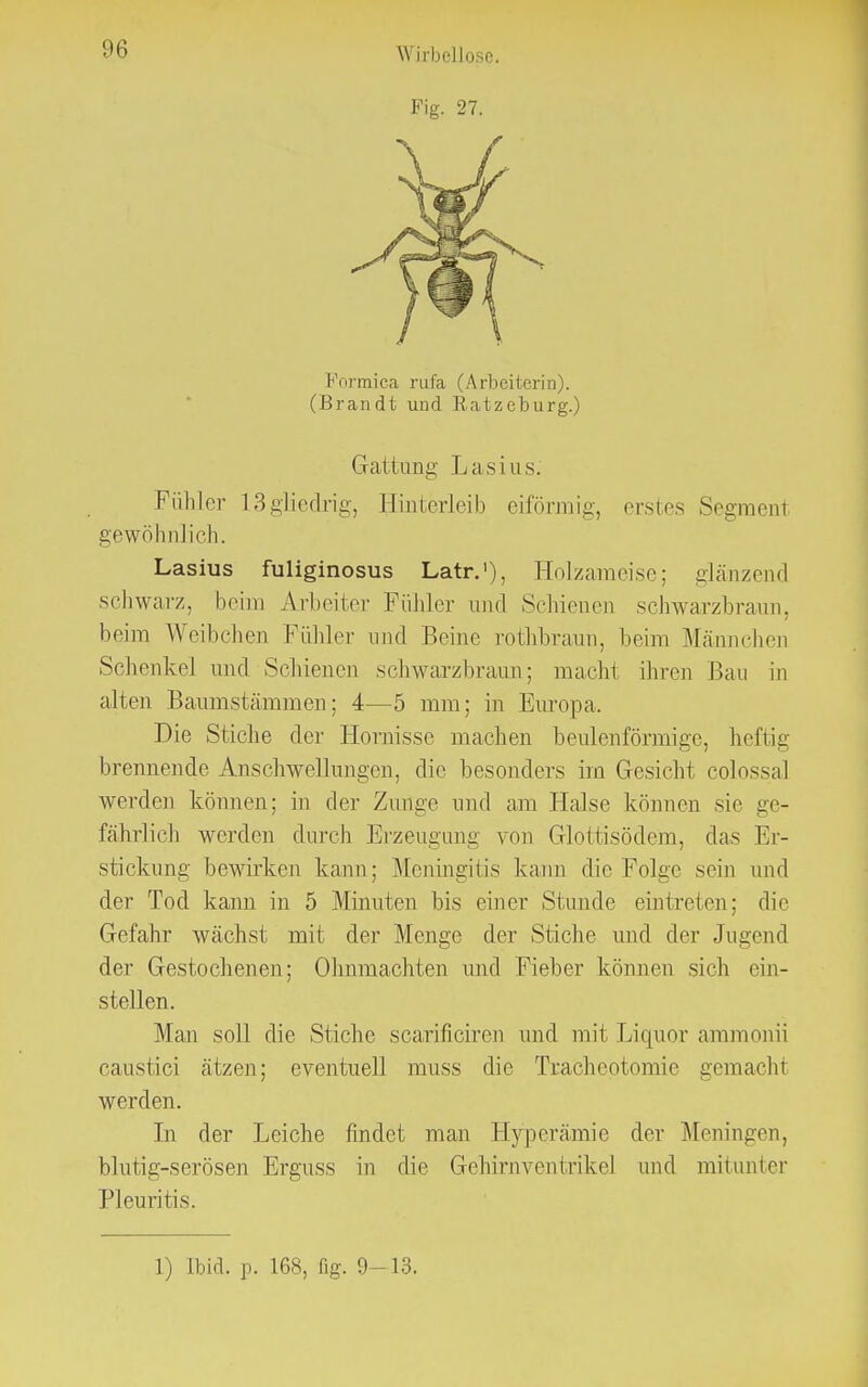 im; Fig. 27. Formica rufa (Arbeiterin). (Brandt und Ratzeburg.) Gattung Las ins. Fühler 13gliedrig, Hinterleib eiförmig, erstes Segment gewöhnlich. Lasius fuliginosus Latr.'), Holzameise; glänzend schwarz, beim Arbeiter Fühler und Schienen schwarzbraun, beim Weibchen Fühler und Beine rothbraun, beim Männchen Schenkel und Schienen schwarzbraun; macht ihren Bau in alten Baumstämmen; 4—5 mm; in Europa. Die Stiche der Hornisse machen beulenförmige, heftig brennende Anschwellungen, die besonders im Gesicht eolossal werden können; in der Zunge und am Halse können sie ge- fährlich werden durch Erzeugung von Glottisödem, das Er- stickung bewirken kann ; Meningitis kann die Folge sein und der Tod kann in 5 Minuten bis einer Stunde eintreten; die Gefahr wächst mit der Menge der Stiche und der Jugend der Gestochenen; Ohnmächten und Fieber können sich ein- stellen. Man soll die Stiche scarificiren und mit Liquor ammonii caustici ätzen; eventuell muss die Tracheotomic gemacht werden. In der Leiche findet man Hyperämie der Meningen, blutig-serösen Erguss in die Gehirnventrikel und mitunter Pleuritis. 1) ibid. p. 168, üg. 9—13.