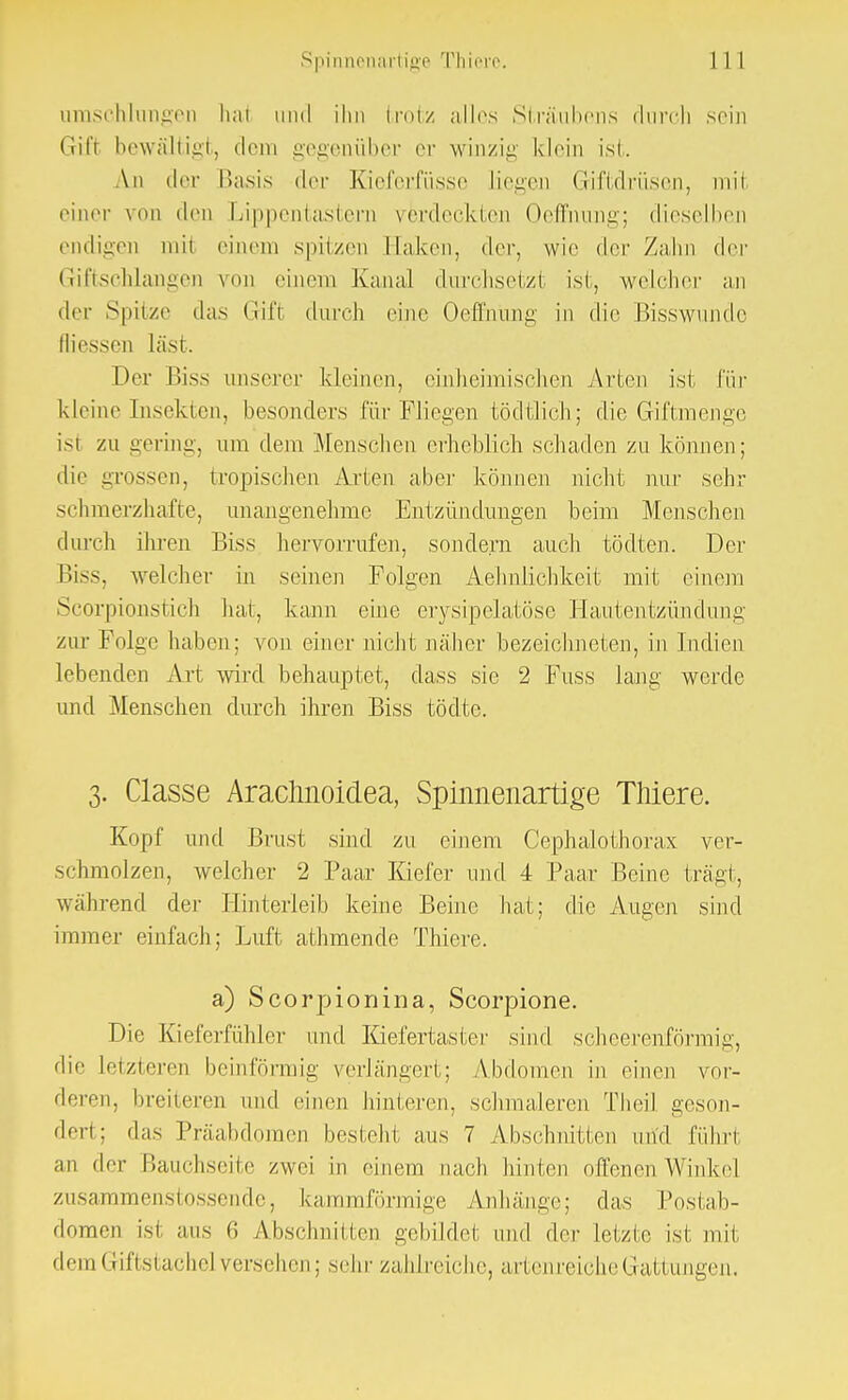 umschlungen ha1 und ihn trotz alles Sträubens durch sein Grift bewältigt, dem gegenüber er winzig klein ist. An der Basis der Kieferfüsse liegen Giftdrüsen, mit einer von den Lippentastern verdeckten Oeffnung; dieselben endigen inii einem spitzen Haken, der, wie der /.ihn der Giftschlangen von einem Kanal durchsetzt ist, welcher an der Spitze das Gift dureh eine Oeffnung in die Bisswunde fliessen läst. Der Biss unserer kleinen, einheimischen Arten ist für kleine Insekten, besonders für Fliegen tödtlich; die Giftmenge ist zu gering, um dem Menschen erheblich schaden zu können; die grossen, tropischen Arien aber können nicht nur sehr schmerzhafte, unangenehme Entzündungen beim Menschen durch ihren Biss hervorrufen, sondern auch tödten. Der Biss, welcher in seinen Folgen Aehnlichkeit mit einem Scorpionstich hat, kann eine erysipelatöse Hautentzündung zur Folge haben; von einer nicht näher bezeichneten, in Indien lebenden Art wird behauptet, dass sie 2 Fuss lang werde und Menschen durch ihren Biss tödte. 3. Classe Arachnoidea, Spinnenartige Thiere. Kopf und Brust sind zu einem Cephalothorax ver- schmolzen, welcher 2 Paar Kiefer und 4 Paar Beine trägt, während der Hinterleib keine Beine hat; die Augen sind immer einfach; Luft athmende Thiere. a) Scorpionina, Scorpione. Die Kieferfühler und Kiefertaster sind scheerenförmig, die letzteren beinförmig verlängert; Abdomen in einen vor- deren, breiteren und einen hinteren, schmaleren Theil geson- dert; das Präabdomen besteht aus 7 Abschnitten und führt an der Bauchseite zwei in einem nach hinten offenen Winkel zusammenstossende, kammförmige Anhänge; das Postab- domen isl aus 6 Abschnitten gebildel und der Letzte ist mit dem Giftstache] versehen; sehr zahlreiche, artenreiche Gattungen.