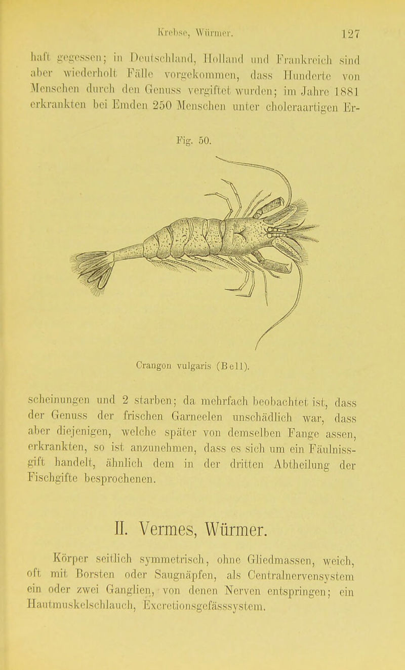 hafl gegessen; in Deutschland, Holland und Frankreich sind aber wiederholt Fälle vorgekommen, dass Hunderte von Menschen durch den Genuss vergiftel wurden; im Jahre 1881 erkrankten bei Emden 250 Menschen unter choleraartigen Er- Pig. 50. CrangOB vulgaris (Bell). scheinungen und 2 starben; da mehrfach beobachtet ist, dass dn- Genuss der frischen Garneelen unschädlich war, dass aber diejenigen, welche später von demselben Fange assen, erkrankten, so ist anzunehmen, dass es sich um ein Fäulniss- gift handelt, ähnlich dem in der dritten Abtheilung der Fischgifte besprochenen. II. Vennes, Würmer. Körper seitlich symmetrisch, ohne Gliedmassen, weich, oft mit Borsten oder Saugnäpfen, als Oentralnervensystem <'ni oder zwei Ganglien, von denen Nerven entspringen; ein Hautmuskelschlauch, Excretionsgefässsj stem.