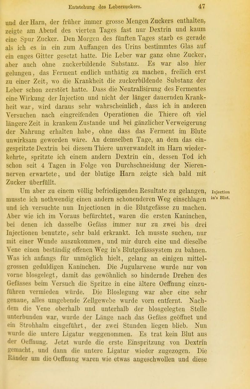 uud der Harn, der früher immer grosse Mengen Zuckers enthalten, zeigte am Abend des vierten Tages fast nur Dextrin und kaum eine Spur Zucker. Den Morgen des fünften Tages starb es gerade als ich es in ein zum Auffangen des Urins bestimmtes Glas auf ein enges Gitter gesetzt hatte. Die Leber war ganz ohne Zucker, aber auch ohne zuckerbildende Substanz. Es war also hier gelungen, das Ferment endlich uuthätig zu machen, freilich erst zu einer Zeit, wo die Krankheit die zuckerbildende Substanz der Leber schon zerstört hatte. Dass die Neutralisirmig des Fermentes eine Wirkung der Injection und nicht der länger dauernden Krank- heit wai', wird daraus sehr wahrscheinlich, dass ich in anderen Versuchen nach eingreifenden Operationen die Thiere oft viel längere Zeit in krankem Zustande uud bei gänzlicher Verweigerung der Nahrimg erhalten habe, ohne dass das Ferment im Blute unwirksam geworden wäre. An demselben Tage, an dem das ein- gespritzte Dextrin bei diesem Thiere unverwandelt im Harn wieder- kehi'te, spritzte ich einem andern Dextrin ein, dessen Tod ich schon seit 4 Tagen in Folge von Durchschneiduug der Nieren- nerven erwartete, und der blutige Harn zeigte sich bald mit ' Zucker überfüllt. Um aber zu einem vöUig befriedigenden Resultate zu gelang en, Injection musste ich nothwendig einen andern schonenderen Weg einschlagen ''^ und ich versuchte nun Injectionen in die Blutgefässe zu machen. Aber wie ich im Voraus befürchtet, waren die ersten Kaninchen, bei denen ich dasselbe Gefäss immer nur zu zwei bis drei Injectionen benutzte, sehr bald erkrankt. Ich musste suchen, nur mit einer Wunde auszukommen, und mir durch eine und dieselbe Vene einen beständig offenen Weg in's Blutgefässsystem zu bahnen. Was ich anfangs für unmöglich hielt, gelang an einigen mittel- grossen geduldigen Kaninchen. Die Jugularvene wurde nur von vorne blosgelegt, damit das gewöhnlich so hindernde Drehen des Gefässes beim Versuch die Spritze in eine ältere Oeffnung einzu- führen vermieden würde. Die Bloslegung war aber eine sehr genaue, alles umgebende Zellgewebe wurde vorn entfernt. Nach- dem die Vene oberhalb und unterhalb der blosgelegten Stelle unterbunden war, wurde der Länge nach das Gefäss geöffnet und ein Strohhalm eingeführt, der zwei Stunden hegen bhcb. Nun wurde die untere Ligatur weggenommen. Es trat kein Blut aus der Oeffnung. Jetzt wurde die erste Einspritzung von Dextrin gemacht, und dann die untere Ligatur wieder zugezogen. Die Ränder um die Oeffnung waren wie etwas angeschwollen und diese