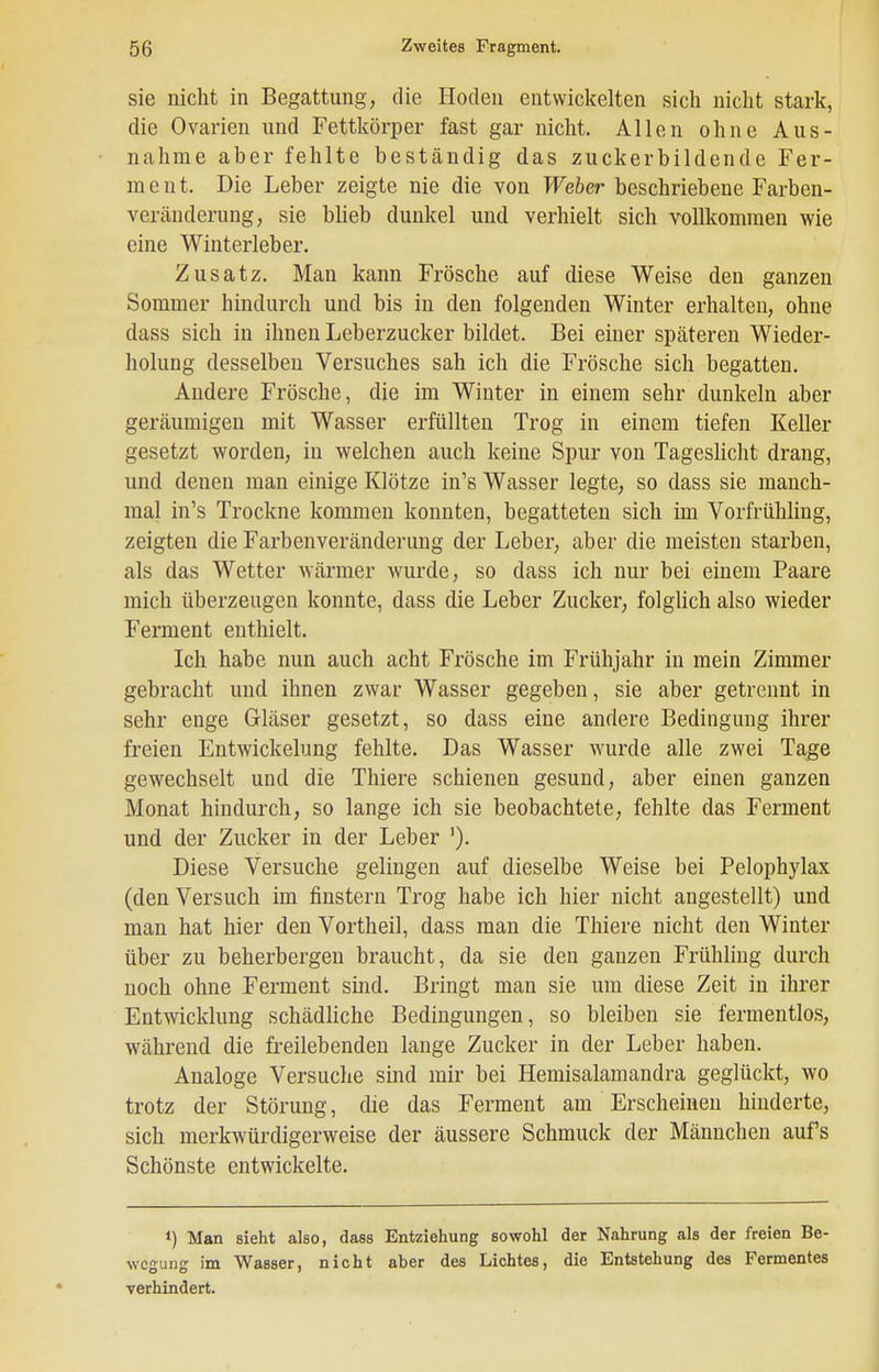 sie nicht in Begattung, die Hoden entwickelten sich nicht stark, die Ovarien und Fettkörper fast gar nicht. Allen ohne Aus- nahme aber fehlte beständig das zuckerbildende Fer- ment. Die Leber zeigte nie die von TFeier beschriebene Farben- veränderung, sie bUeb dunkel und verhielt sich vollkommen wie eine Winterleber. Zusatz. Man kann Frösche auf diese Weise den ganzen Sommer hindurch und bis in den folgenden Winter erhalten, ohne dass sich in ihnen Leberzucker bildet. Bei einer späteren Wieder- holung desselben Versuches sah ich die Frösche sich begatten. Andere Frösche, die im Winter in einem sehr dunkeln aber geräumigen mit Wasser erfüllten Trog in einem tiefen Keller gesetzt worden, in welchen auch keine Spur von Tageslicht drang, und denen man einige Klötze in's Wasser legte, so dass sie manch- mal in's Trockne kommen konnten, begatteten sich im Vorfrühling, zeigten die Farbenveränderung der Leber, aber die meisten starben, als das Wetter wärmer wurde, so dass ich nur bei einem Paare mich überzeugen konnte, dass die Leber Zucker, folglich also wieder Ferment enthielt. Ich habe nun auch acht Frösche im Frühjahr in mein Zimmer gebracht und ihnen zwar Wasser gegeben, sie aber getrennt in sehr enge Gläser gesetzt, so dass eine andere Bedingung ihrer freien Entwickelung fehlte. Das Wasser wurde alle zwei Tage gewechselt und die Thiere schienen gesund, aber einen ganzen Monat hindurch, so lange ich sie beobachtete, fehlte das Ferment und der Zucker in der Leber '). Diese Versuche gelingen auf dieselbe Weise bei Pelophylax (den Versuch im finstern Trog habe ich hier nicht angestellt) und man hat hier den Vortheil, dass man die Thiere nicht den Winter über zu beherbergen braucht, da sie den ganzen Frühling durch noch ohne Ferment sind. Bringt man sie um diese Zeit in ihrer Entwicklung schädliche Bedingungen, so bleiben sie fermentlos, während die freilebenden lange Zucker in der Leber haben. Analoge Versuche sind mir bei Hemisalamandra geglückt, wo trotz der Störung, die das Ferment am Erscheinen hinderte, sich merkwürdigerweise der äussere Schmuck der Männchen auf's Schönste entwickelte. 1) Man sieht also, dass Entziehung sowohl der Nahrung als der freien Be- wegung im Wasser, nicht aber des Lichtes, die Entstehung des Fermentes verhindert.
