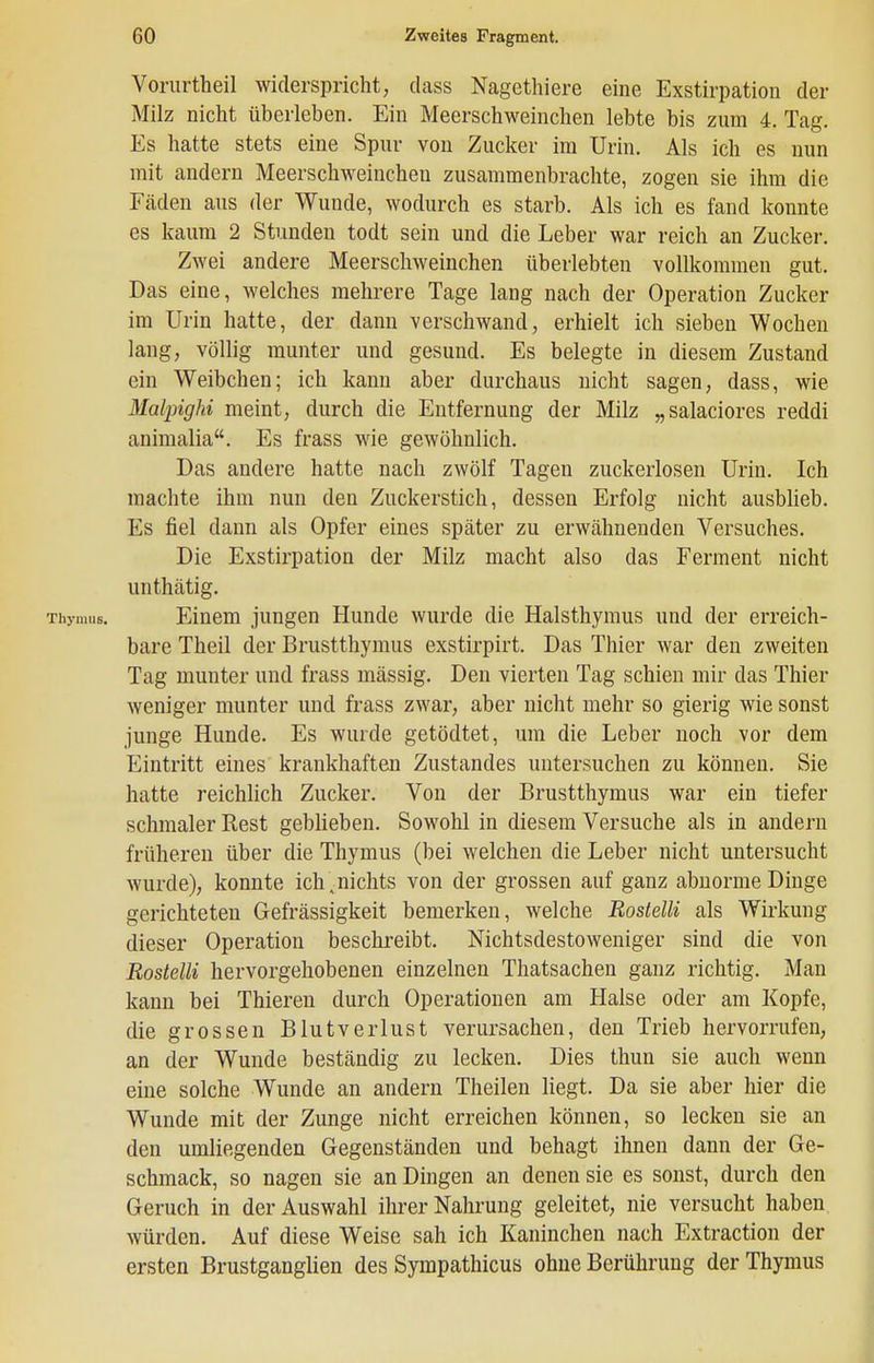 Vorurtheil widerspricht, dass Nagethiere eine Exstirpation der Milz nicht überleben. Ein Meerschweinchen lebte bis zum 4. Tag, Es hatte stets eine Spur von Zucker im Urin. Als ich es nun mit andern Meerschweinchen zusammenbrachte, zogen sie ihm die Fäden aus der Wunde, wodurch es starb. Als ich es fand konnte es kaum 2 Stunden todt sein und die Leber war reich an Zucker. Zwei andere Meerschweinchen überlebten vollkommen gut. Das eine, welches mehrere Tage lang nach der Operation Zucker im Urin hatte, der dann verschwand, erhielt ich sieben Wochen lang, völlig munter und gesund. Es belegte in diesem Zustand ein Weibchen; ich kann aber durchaus nicht sagen, dass, wie Malpighi meint, durch die Entfernung der Milz „salaciores reddi animalia. Es frass wie gewöhnlich. Das andere hatte nach zwölf Tagen zuckerlosen Urin. Ich machte ihm nun den Zuckerstich, dessen Erfolg nicht ausblieb. Es fiel dann als Opfer eines später zu erwähnenden Versuches. Die Exstirpation der Milz macht also das Ferment nicht unthätig. Thymus. Einem jungen Hunde wurde die Halsthymus und der erreich- bare Theil der Brustthymus exstirpirt. Das Thier war den zweiten Tag munter und frass mässig. Den vierten Tag schien mir das Thier weniger munter und frass zwar, aber nicht mehr so gierig wie sonst junge Hunde. Es wurde getödtet, um die Leber noch vor dem Eintritt eines krankhaften Zustandes untersuchen zu können. Sie hatte reichlich Zucker. Von der Brustthymus war ein tiefer schmaler Rest geblieben. Sowohl in diesem Versuche als in andern früheren über die Thymus (bei welchen die Leber nicht untersucht wurde), konnte ich,nichts von der grossen auf ganz abnorme Dinge gerichteten Gefrässigkeit bemerken, welche BosteUi als Wirkung dieser Operation beschreibt. Nichtsdestoweniger sind die von Rostelli hervorgehobenen einzelnen Thatsachen ganz richtig. Man kann bei Thieren durch Operationen am Halse oder am Kopfe, die grossen Blutverlust verursachen, den Trieb hervorrufen, an der Wunde beständig zu lecken. Dies thun sie auch wenn eine solche Wunde an andern Theilen liegt. Da sie aber hier die Wunde mit der Zunge nicht erreichen können, so lecken sie an den umliegenden Gegenständen und behagt ihnen dann der Ge- schmack, so nagen sie an Dingen an denen sie es sonst, durch den Geruch in der Auswahl ihrer Nahrung geleitet, nie versucht haben würden. Auf diese Weise sah ich Kaninchen nach Extraction der ersten Brustganglien des Sympathicus ohne Berührung der Thymus
