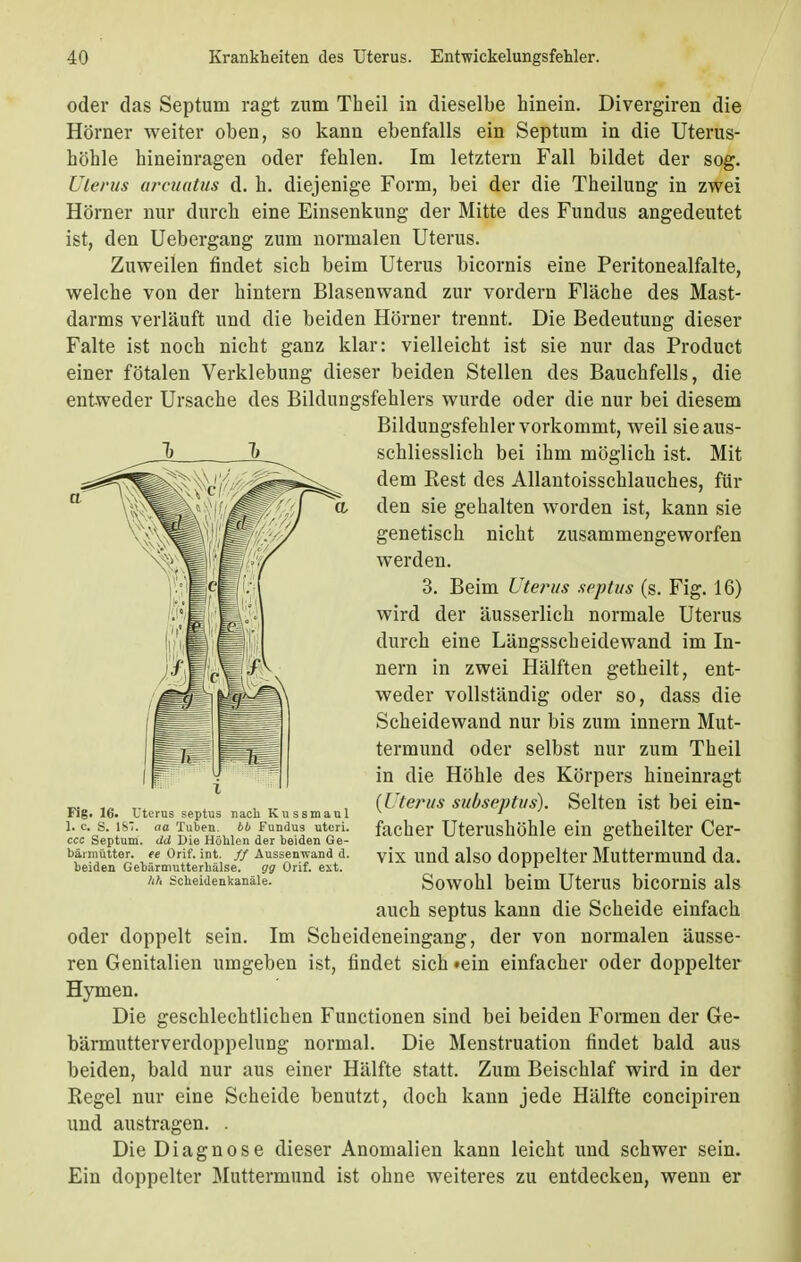 oder das Septum ragt zum Theil in dieselbe hinein. Divergiren die Hörner weiter oben, so kann ebenfalls ein Septum in die Uterus- höhle hineinragen oder fehlen. Im letztern Fall bildet der sog. Uterus arcuatus d. h. diejenige Form, bei der die Theilung in zwei Hörner nur durch eine Einsenkung der Mitte des Fundus angedeutet ist, den Uebergang zum normalen Uterus. Zuweilen findet sich beim Uterus bicornis eine Peritonealfalte, welche von der hintern Blasenwand zur vordem Fläche des Mast- darms verläuft und die beiden Hörner trennt. Die Bedeutung dieser Falte ist noch nicht ganz klar: vielleicht ist sie nur das Product einer fötalen Verklebung dieser beiden Stellen des Bauchfells, die entweder Ursache des Bildungsfehlers wurde oder die nur bei diesem Bildungsfehler vorkommt, weil sie aus- schliesslich bei ihm möglich ist. Mit dem Rest des Allantoisschlauches, fin- den sie gehalten worden ist, kann sie genetisch nicht zusammengeworfen werden. 3. Beim Uterus septus (s. Fig. 16) wird der äusserlich normale Uterus durch eine Längsscheidewand im In- nern in zwei Hälften getheilt, ent- weder vollständig oder so, dass die Scheidewand nur bis zum innern Mut- termund oder selbst nur zum Theil in die Höhle des Körpers hineinragt (l '/erus subseptus). Selten ist bei ein- facher Uterushöhle ein getheilter Cer- vix und also doppelter Muttermund da. Sowohl beim Uterus bicornis als auch septus kann die Scheide einfach oder doppelt sein. Im Scheideneingang, der von normalen äusse- ren Genitalien umgeben ist, findet sich »ein einfacher oder doppelter Hymen. Die geschlechtlichen Functionen sind bei beiden Formen der Ge- bärmutterverdoppelung normal. Die Menstruation findet bald aus beiden, bald nur aus einer Hälfte statt. Zum Beischlaf wird in der Regel nur eine Scheide benutzt, doch kann jede Hälfte concipiren und austragen. . Die Diagnose dieser Anomalien kann leicht und schwer sein. Ein doppelter Muttermund ist ohne weiteres zu entdecken, wenn er Fig. 16. Uterus septus nach Kussmaul 1. c. S. IST. aa Tuben. 66 Fundus uteri. ccc Septum. äd Die Höhlen der beiden Ge- bärmutter, ee Orif. int. ff Aussenwand d. beiden Gehärmutterhälse. gg Orif. ext. Ith bcheidenkanäle.